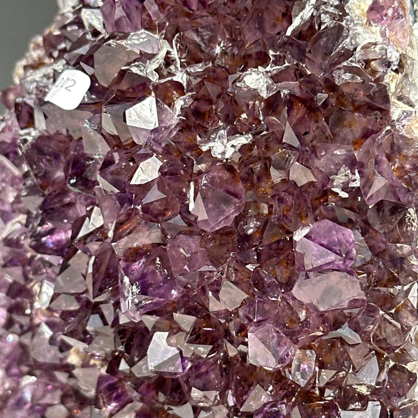 Large Amethyst Crystal Cluster, Rare Rutilated Quartz Symbiosis, Polished Purple Geode Freeform Mineral Specimen Exact 6.61lb