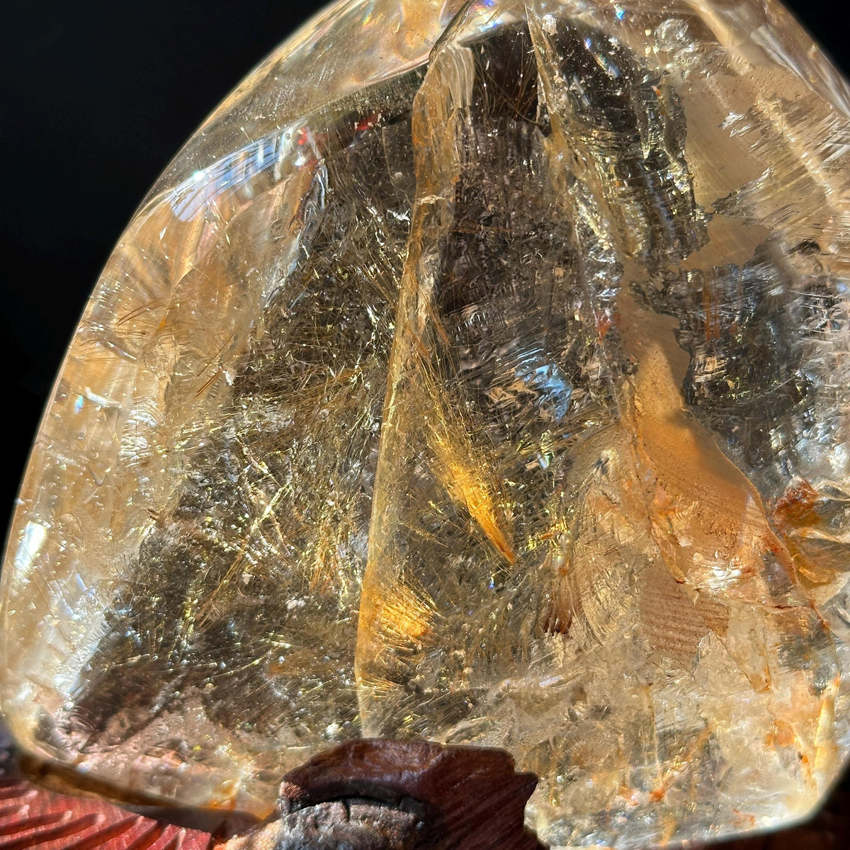 Rare Rutilated Yellow Hematoid Quartz on Custom Wood Stand, Golden Healer Crystal Freeform Decor, Exact Brazil Specimen 3.82lb - view 6