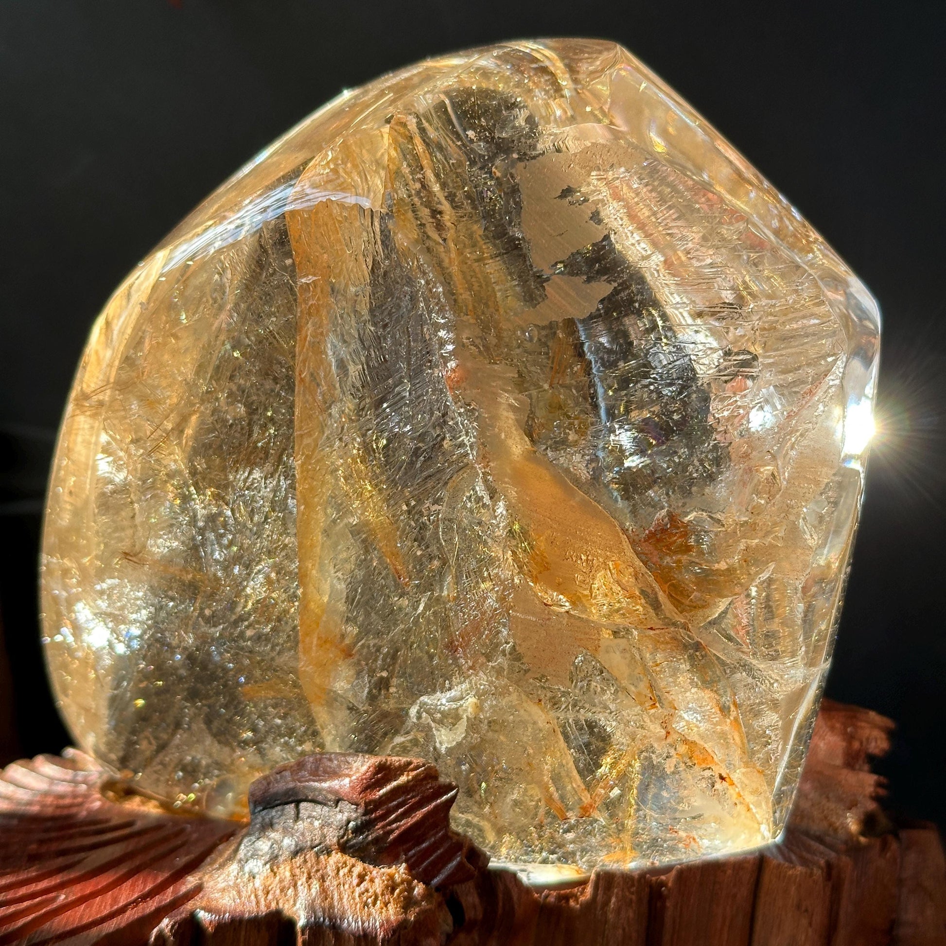 Rare Rutilated Yellow Hematoid Quartz on Custom Wood Stand, Golden Healer Crystal Freeform Decor, Exact Brazil Specimen 3.82lb - view 9