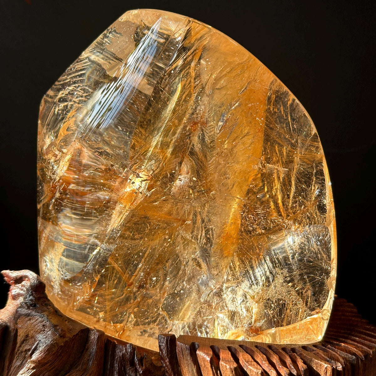 Rare Rutilated Yellow Hematoid Quartz on Custom Wood Stand, Golden Healer Crystal Freeform Decor, Exact Brazil Specimen 3.82lb - view 8