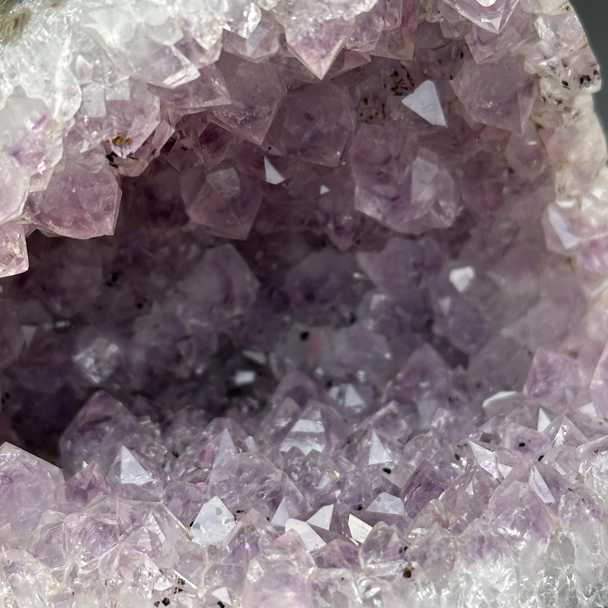 Brazilian Amethyst with Black Tourmaline Symbiosis, Shark Mouth Shape Geode Cluster, Polished Matrix Crystal Specimen Exact 1.62lb - view 10