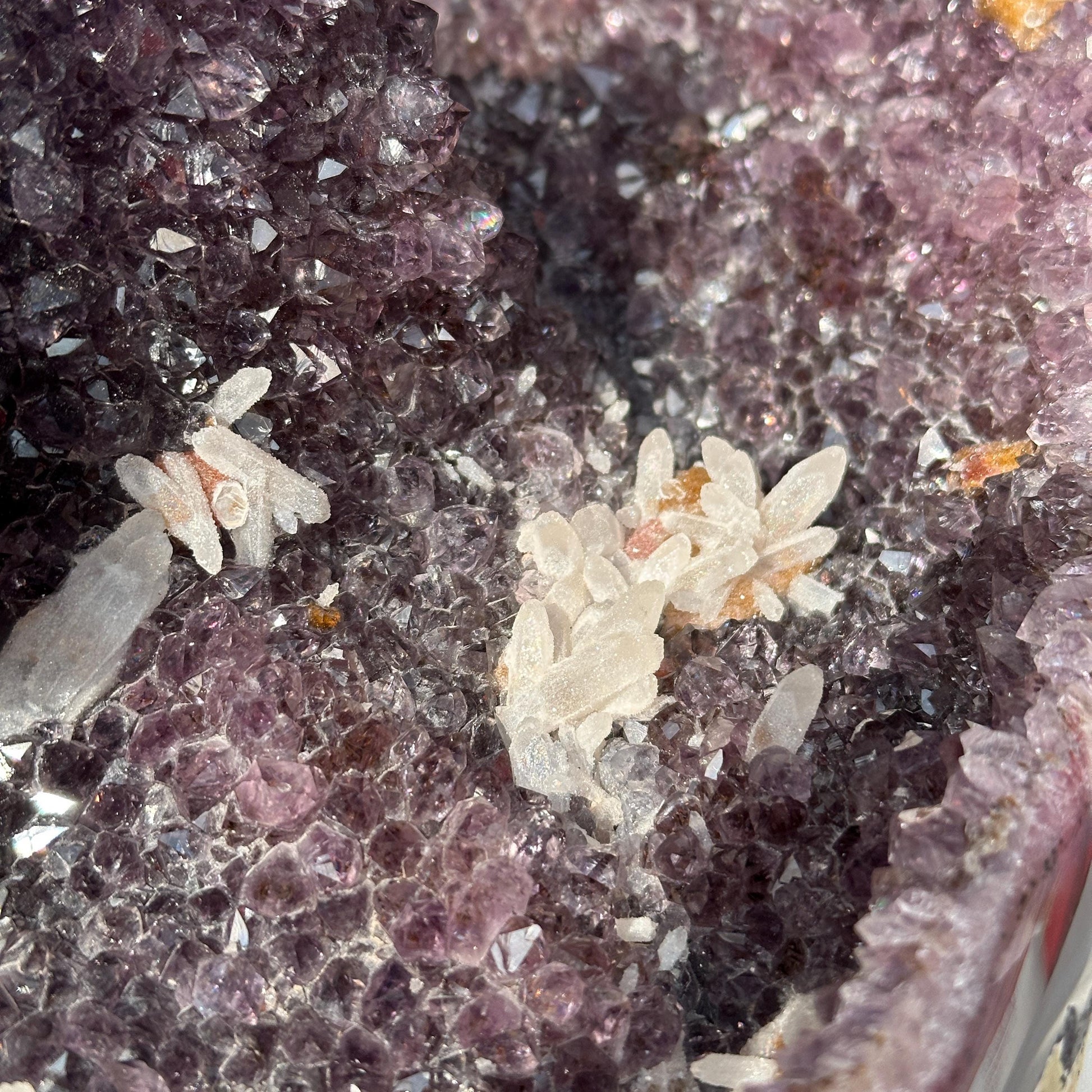 Huge Amethyst Geode Basin with Dual Calcite Symbiosis, Brazilian Crystal Wealth Bowl, Artisan Polished Specimen Exact 11.46lb - view 7