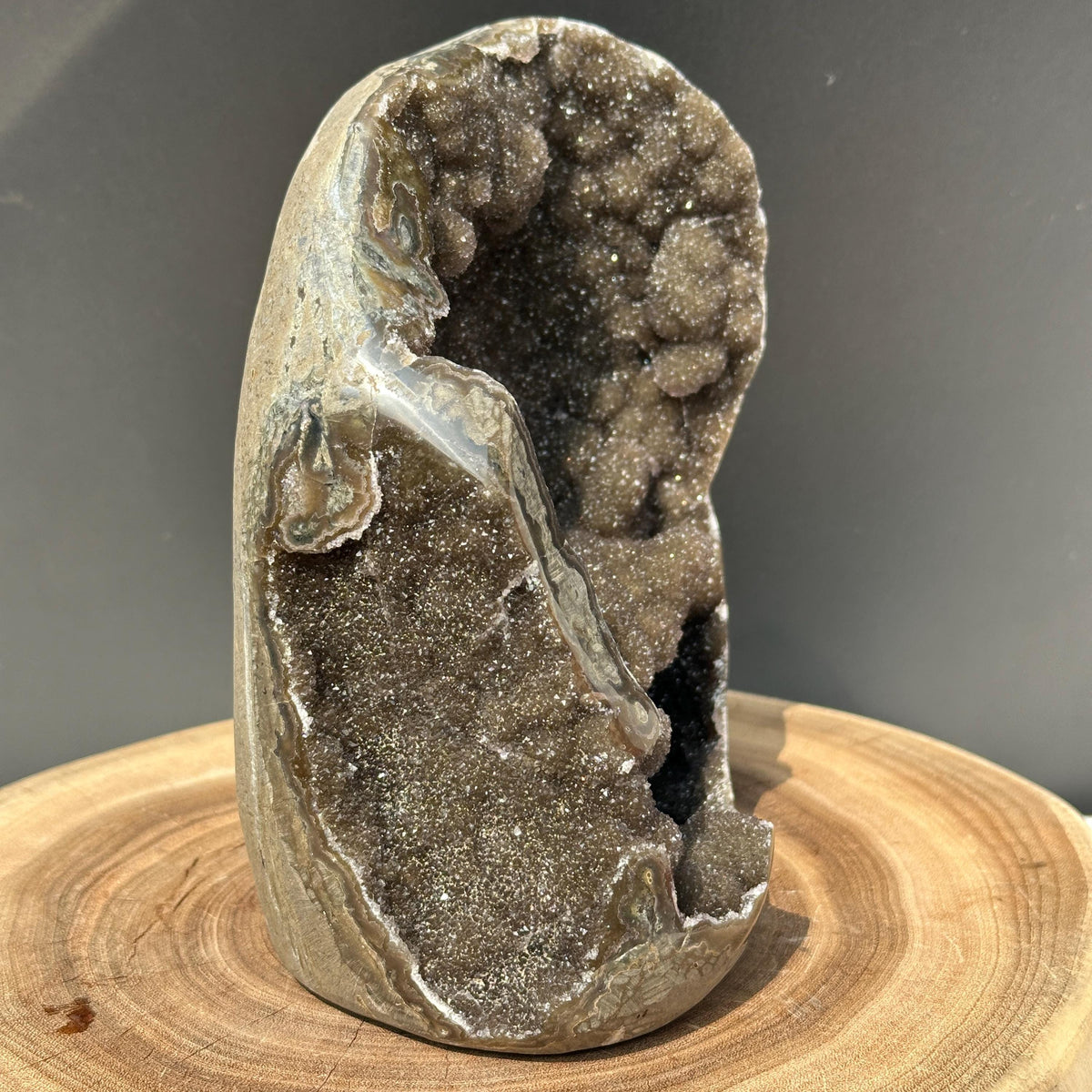 Dark Green Amethyst Geode Cave, Rare Uruguayan Botryoidal Sugar Druzy, Polished Heavy Crystal Specimen Exact 5.84lb - view 5
