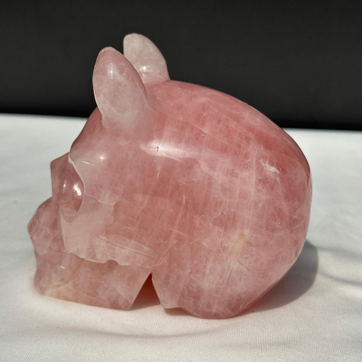 Large Rose Quartz Horned Skull, Hand Carved Pink Crystal Demon Skull, Heavy Polished Gemstone Gargoyle Decor Exact Specimen 2.7lb - view 7