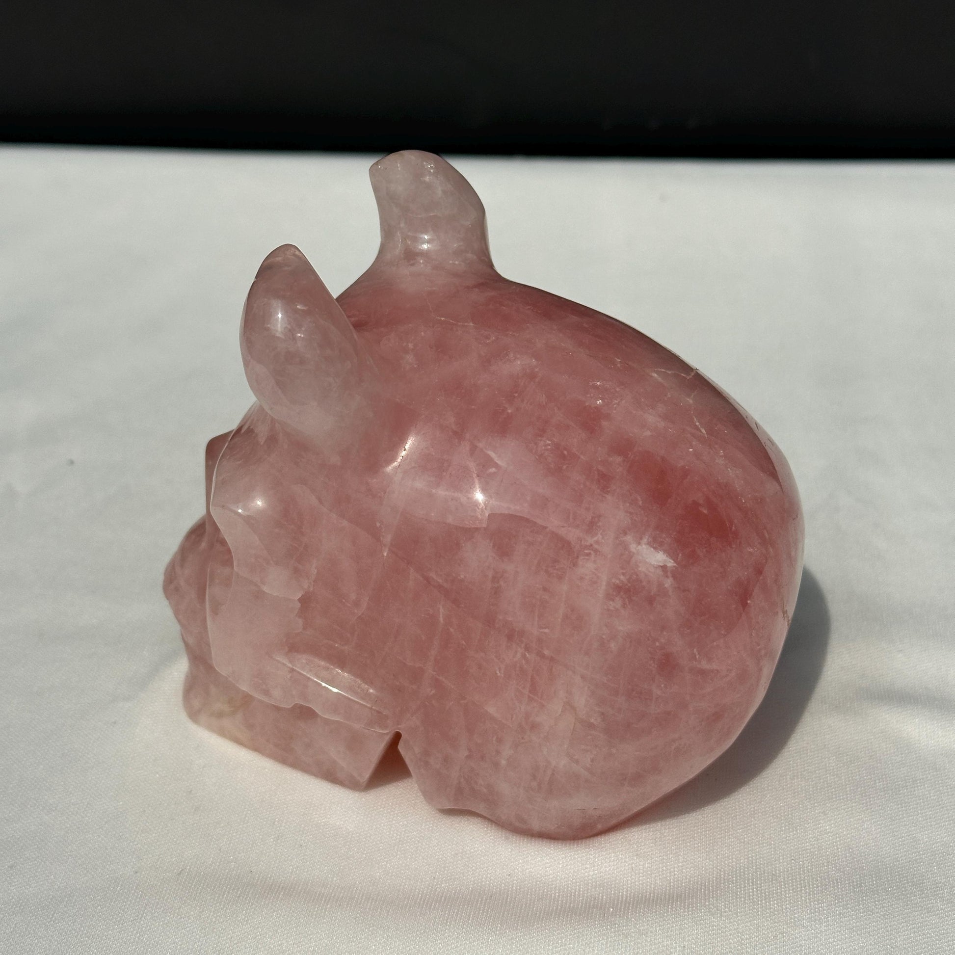 Large Rose Quartz Horned Skull, Hand Carved Pink Crystal Demon Skull, Heavy Polished Gemstone Gargoyle Decor Exact Specimen 2.7lb - view 10