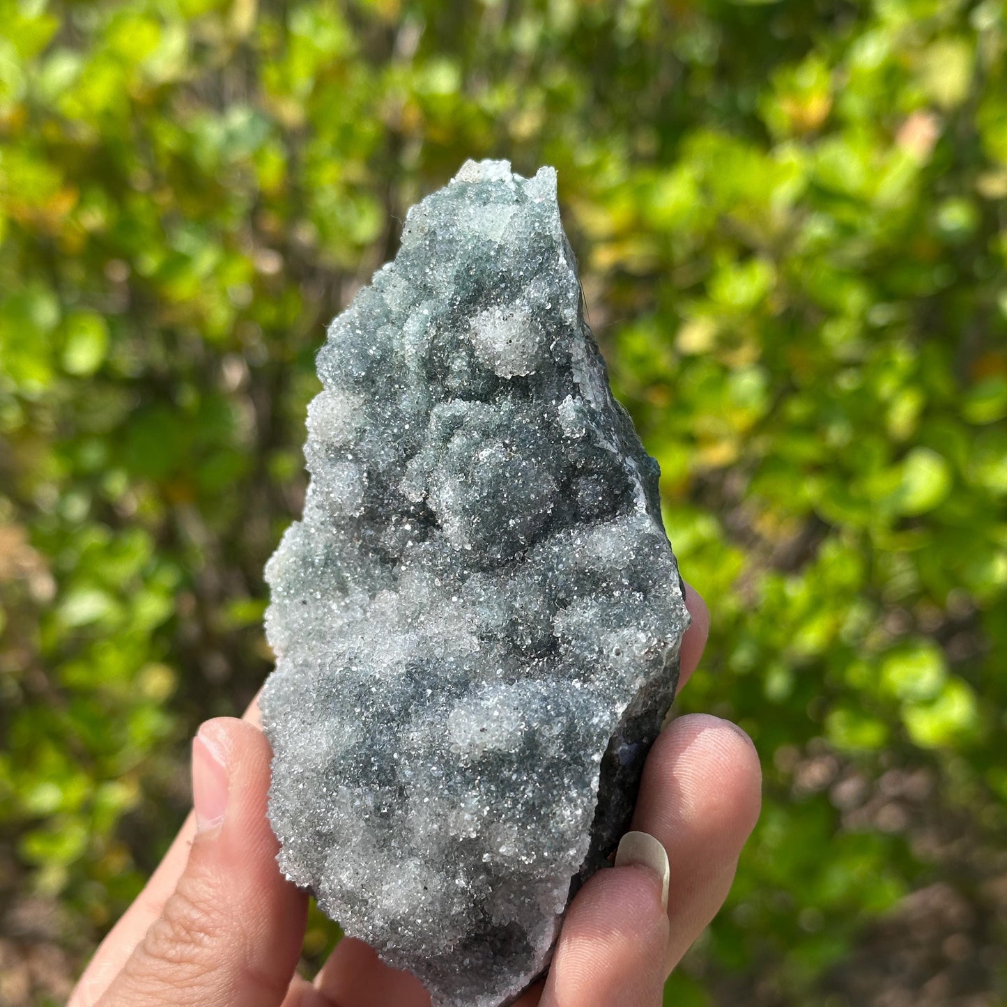 Rare Green Sugar Druzy Amethyst Cluster on Stand, Brazilian Botryoidal Crystal Geode Specimen, Heart Chakra Decor Choose Exact A-D