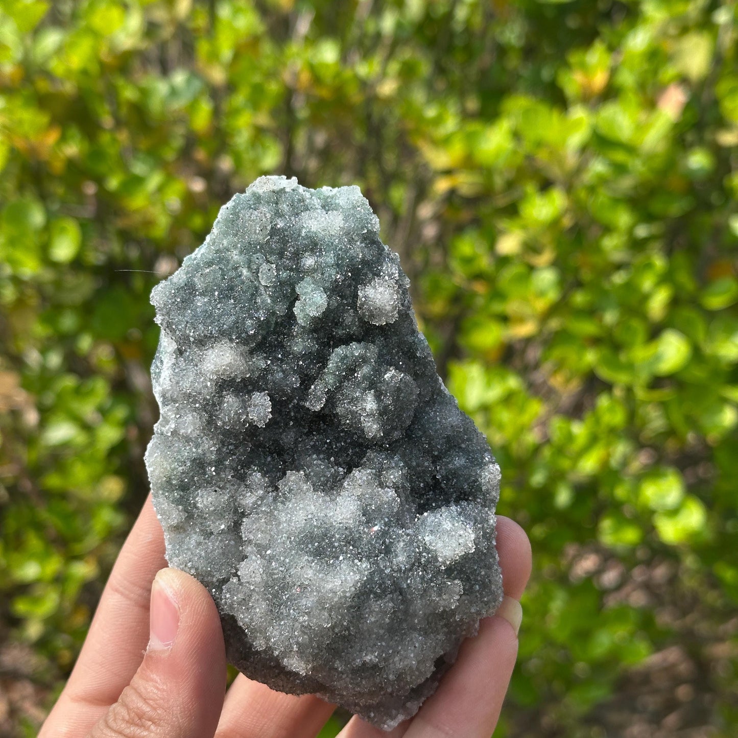 Rare Green Sugar Druzy Amethyst Cluster on Stand, Brazilian Botryoidal Crystal Geode Specimen, Heart Chakra Decor Choose Exact A-D