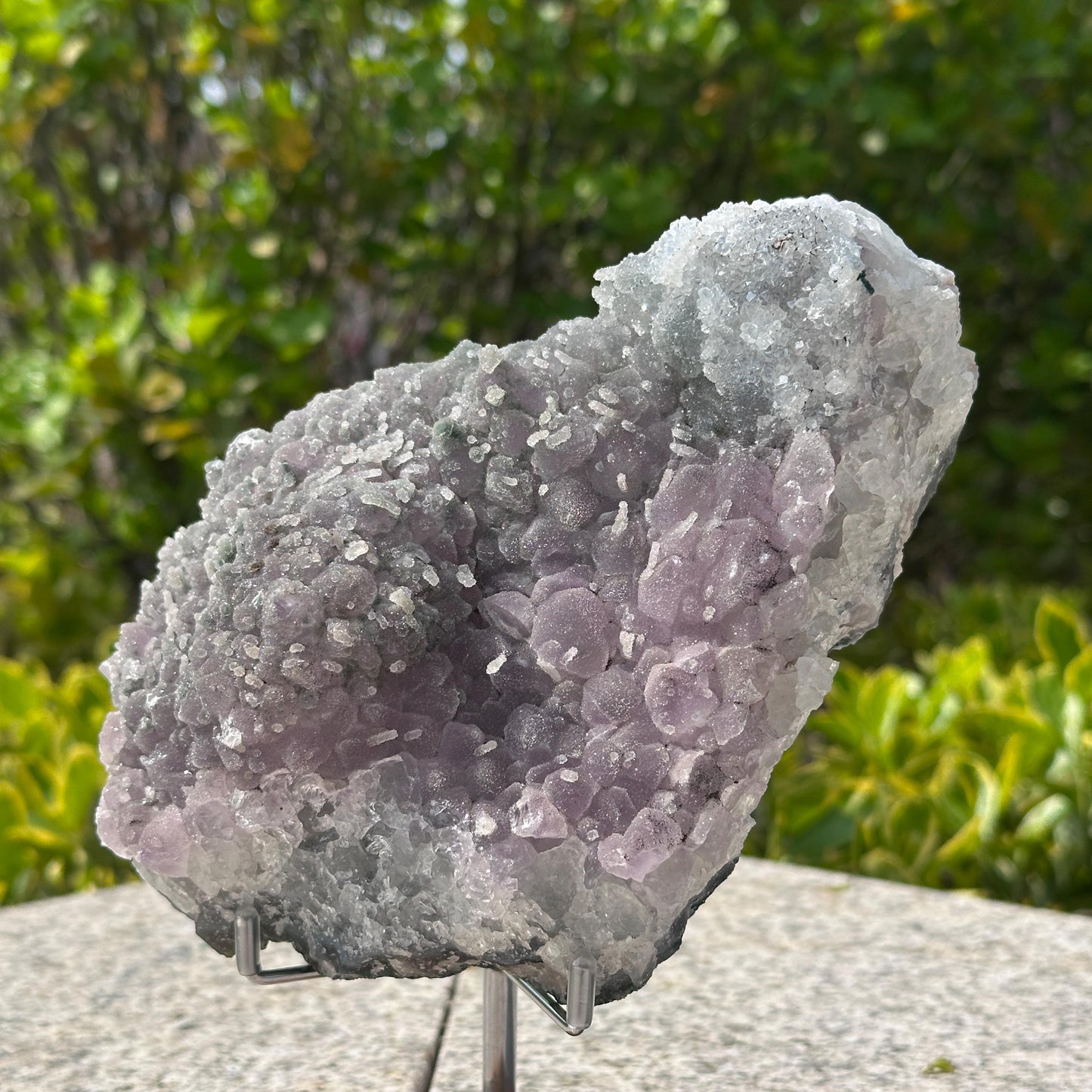 Rare Brazilian Sugar Amethyst Cluster with Calcite Symbiosis, Botryoidal Druzy Crystal on Custom Stand, Altar Decor Exact Specimen 2.87lb