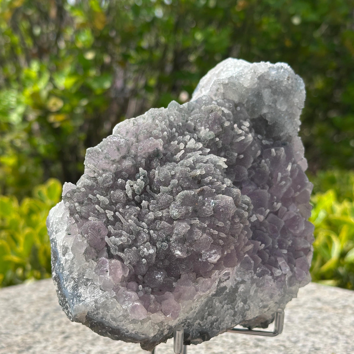Rare Brazilian Sugar Amethyst Cluster with Calcite Symbiosis, Botryoidal Druzy Crystal on Custom Stand, Altar Decor Exact Specimen 2.87lb - view 6