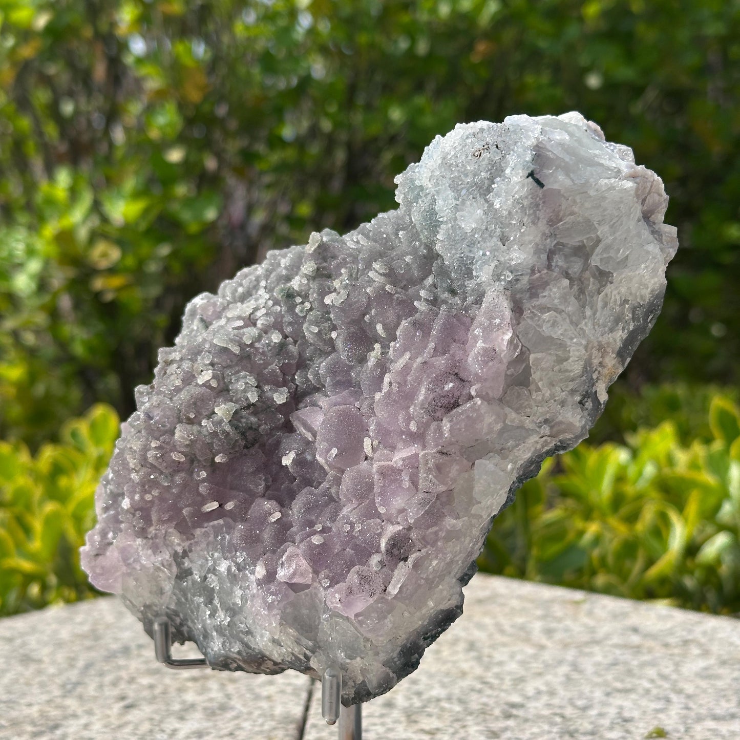 Rare Brazilian Sugar Amethyst Cluster with Calcite Symbiosis, Botryoidal Druzy Crystal on Custom Stand, Altar Decor Exact Specimen 2.87lb