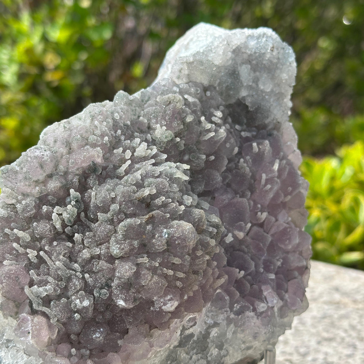 Rare Brazilian Sugar Amethyst Cluster with Calcite Symbiosis, Botryoidal Druzy Crystal on Custom Stand, Altar Decor Exact Specimen 2.87lb - view 8
