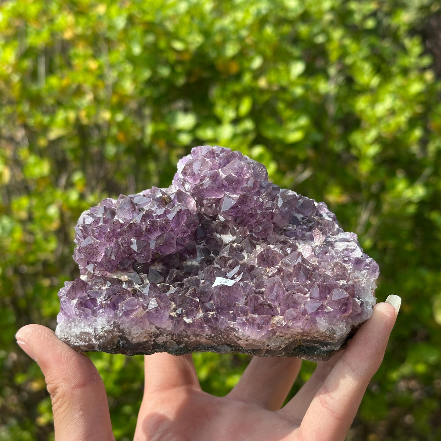 Rare Brazilian Amethyst Cluster with Stand, Unique Double Flower Formation Rosette Specimen, Raw Crystal Altar Decor, One of a Kind 1.43lb