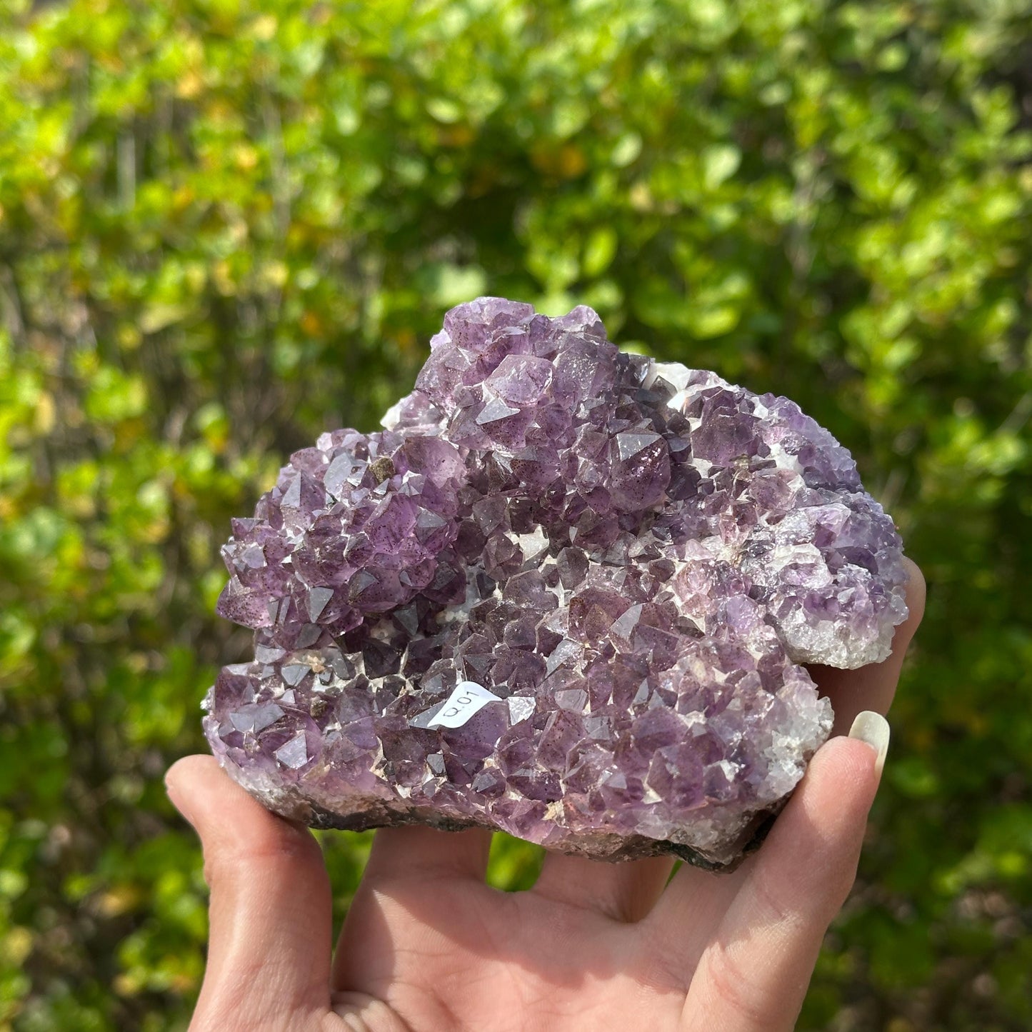 Rare Brazilian Amethyst Cluster with Stand, Unique Double Flower Formation Rosette Specimen, Raw Crystal Altar Decor, One of a Kind 1.43lb