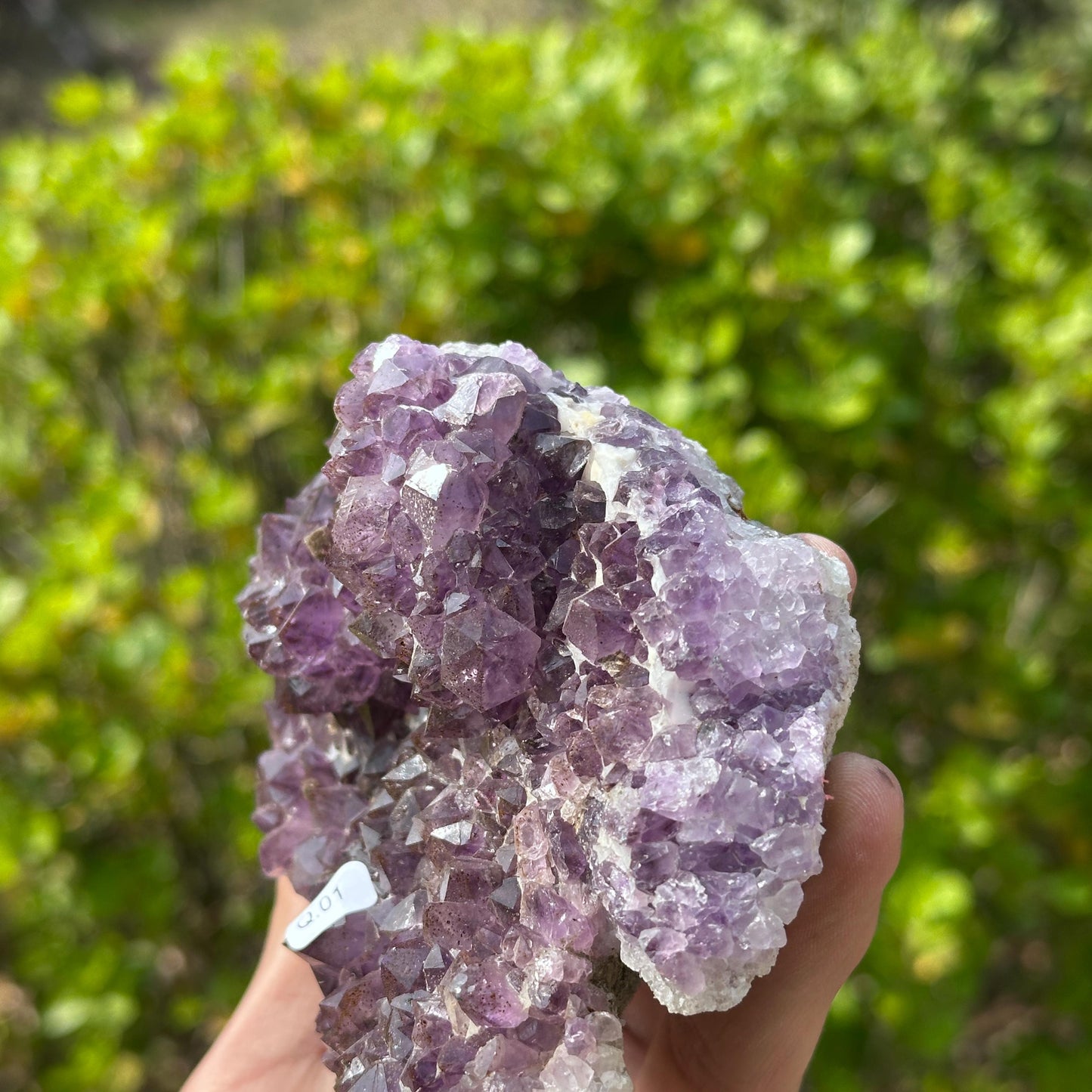 Rare Brazilian Amethyst Cluster with Stand, Unique Double Flower Formation Rosette Specimen, Raw Crystal Altar Decor, One of a Kind 1.43lb - view 7