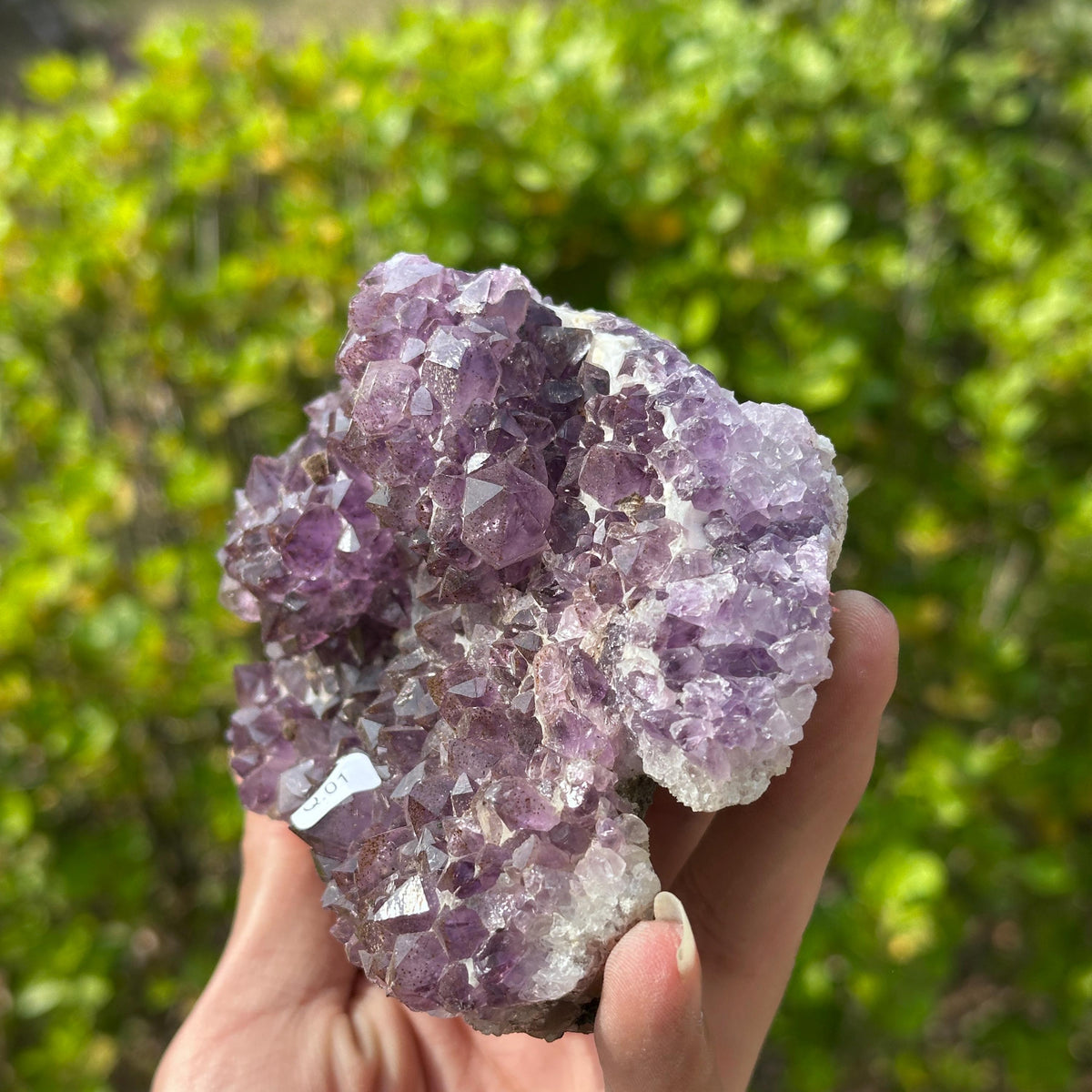 Rare Brazilian Amethyst Cluster with Stand, Unique Double Flower Formation Rosette Specimen, Raw Crystal Altar Decor, One of a Kind 1.43lb - view 6