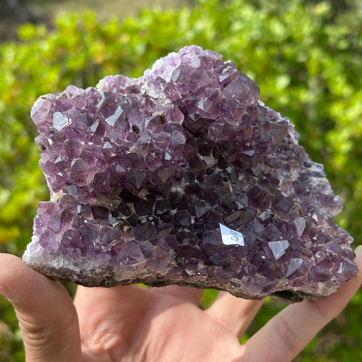 Rare Brazilian Amethyst Cluster with Stand, Unique Double Flower Formation Rosette Specimen, Raw Crystal Altar Decor, One of a Kind 1.43lb - view 10