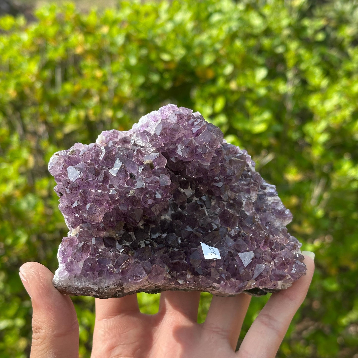 Rare Brazilian Amethyst Cluster with Stand, Unique Double Flower Formation Rosette Specimen, Raw Crystal Altar Decor, One of a Kind 1.43lb