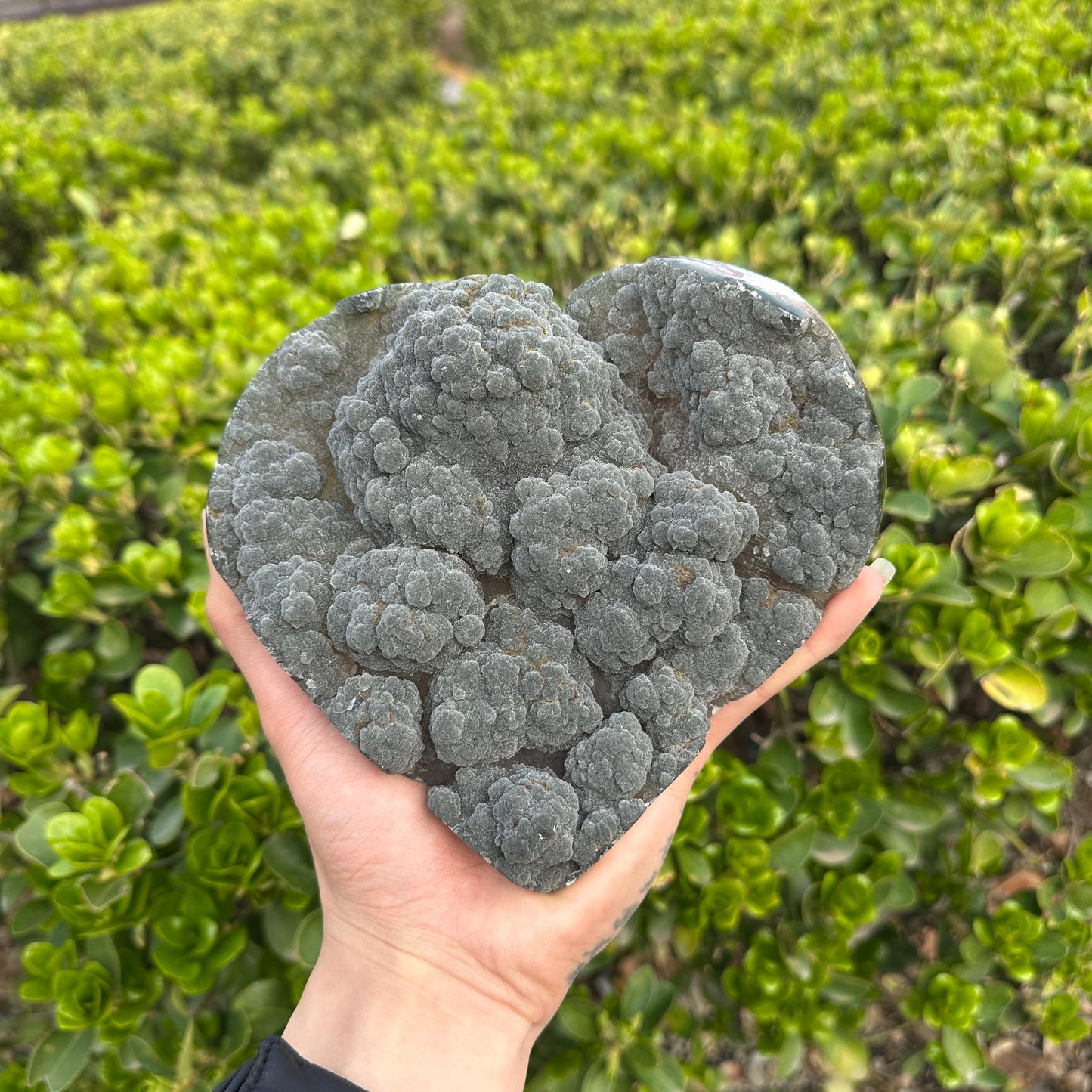 Rare Green Sugar Druzy Amethyst Heart on Stand, Uruguayan Botryoidal Crystal Geode Carving, Heart Chakra Healing Altar Decor Exact 2.87lb