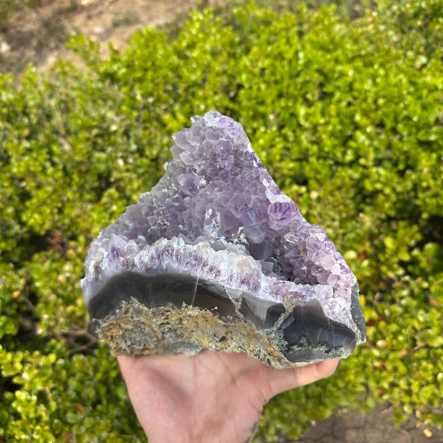 Massive Brazilian Sugar Druzy Amethyst Cluster, Polished Banded Agate Crystal Geode Freeform, Healing Altar Decor Exact 6.17lb