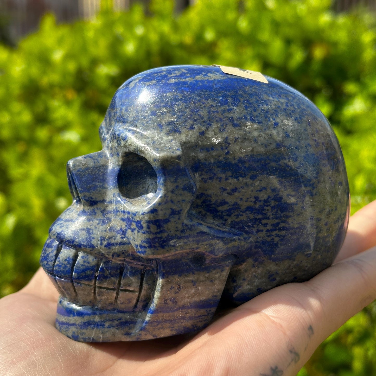 Realistic Lapis Lazuli Skull Carving, Natural Blue Crystal Skull with Pyrite, Gothic Decor Witchy Altar Exact Specimen 2.15lb - view 6