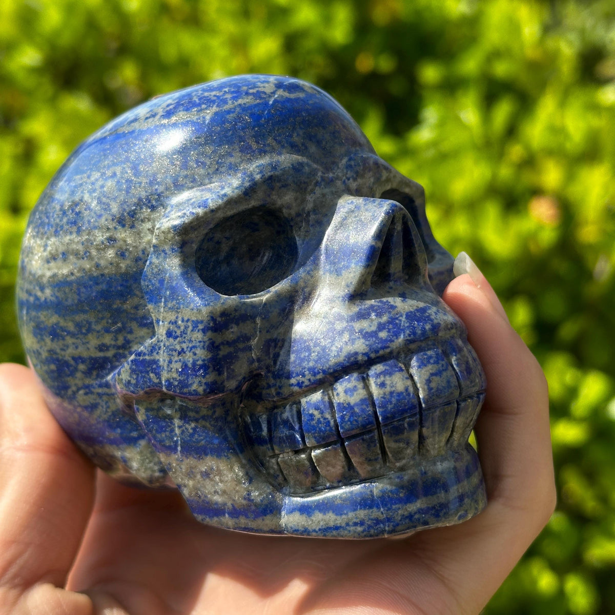 Realistic Lapis Lazuli Skull Carving, Natural Blue Crystal Skull with Pyrite, Gothic Decor Witchy Altar Exact Specimen 2.15lb - view 8