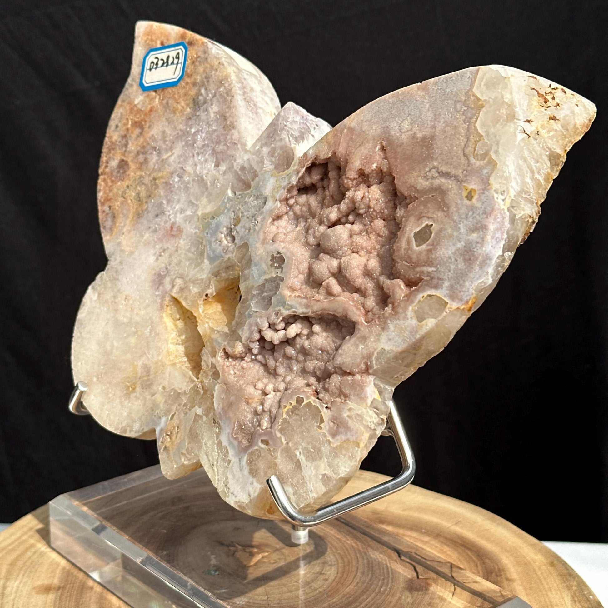 Massive Botryoidal Pink Amethyst Butterfly on Stand, Brazilian Sugar Druzy Crystal Wings, Polished Geode Freeform Decor Exact 4.63lb - view 6