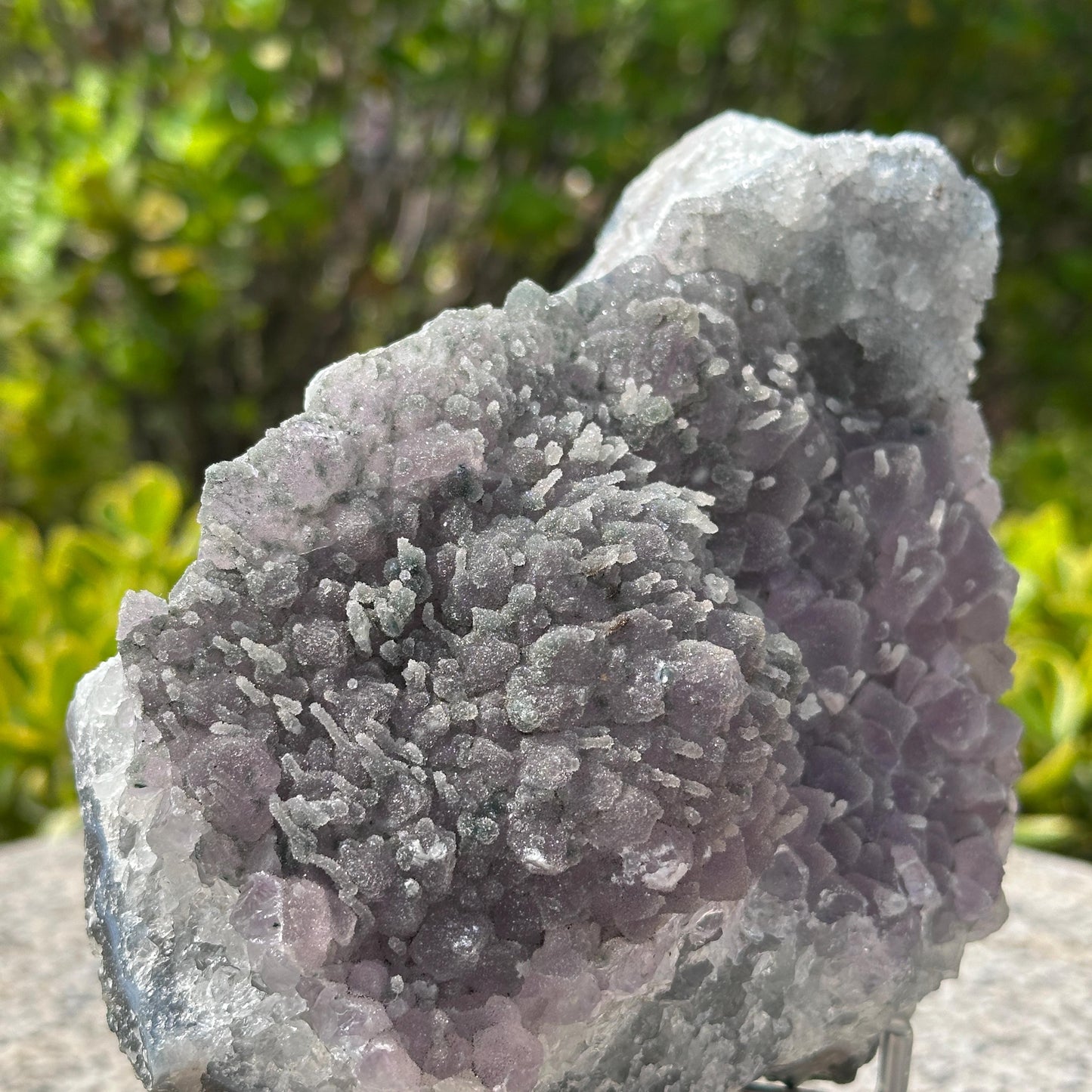 Rare Brazilian Sugar Amethyst Cluster with Calcite Symbiosis, Botryoidal Druzy Crystal on Custom Stand, Altar Decor Exact Specimen 2.87lb - view 7