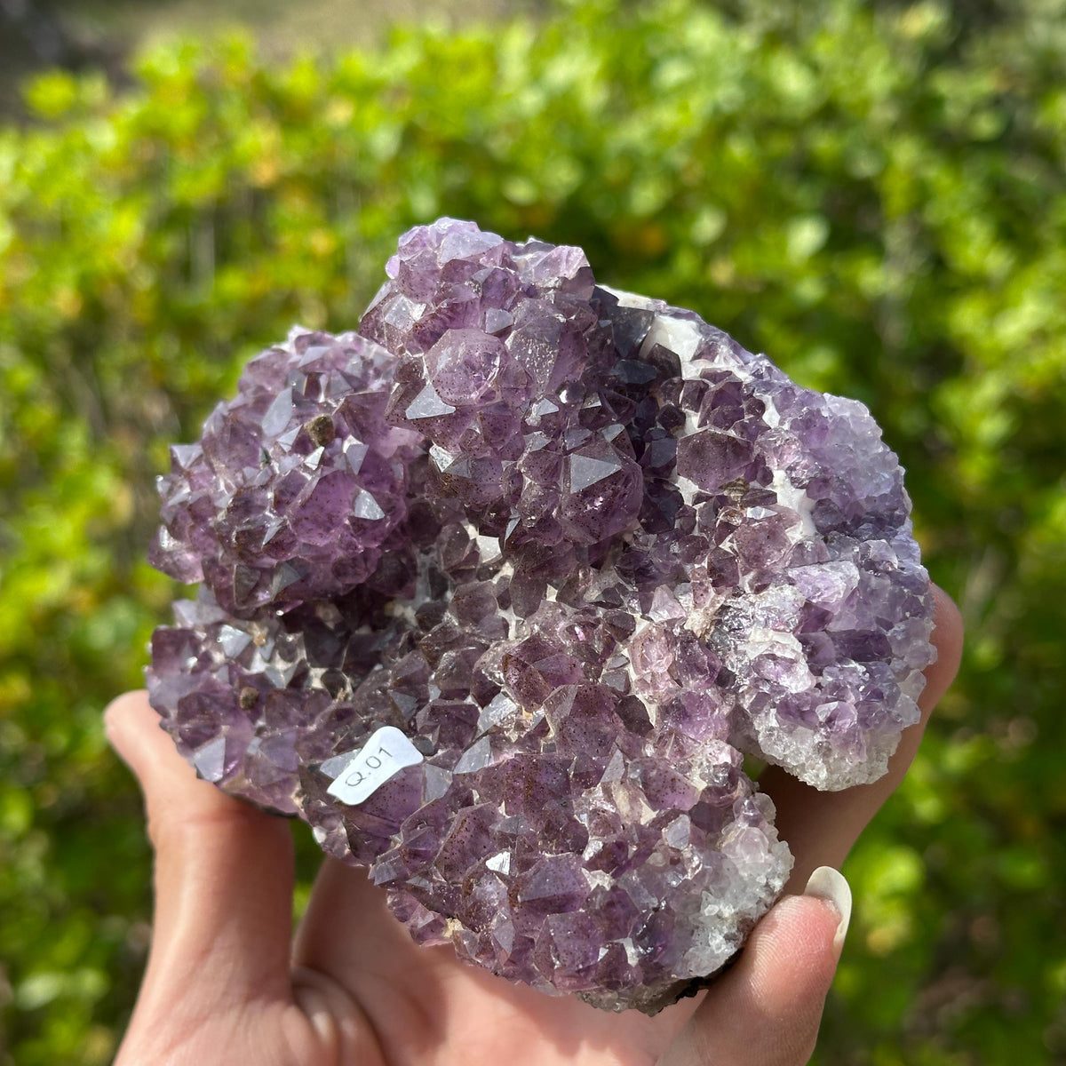 Rare Brazilian Amethyst Cluster with Stand, Unique Double Flower Formation Rosette Specimen, Raw Crystal Altar Decor, One of a Kind 1.43lb - view 8