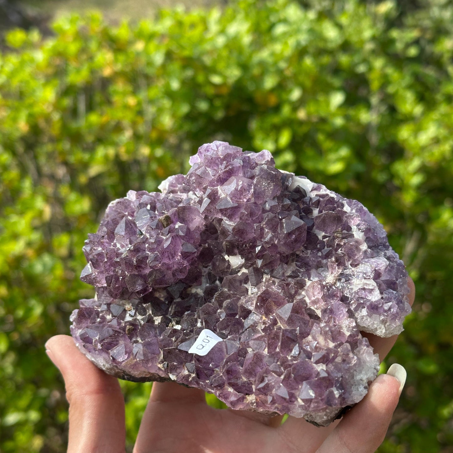 Rare Brazilian Amethyst Cluster with Stand, Unique Double Flower Formation Rosette Specimen, Raw Crystal Altar Decor, One of a Kind 1.43lb