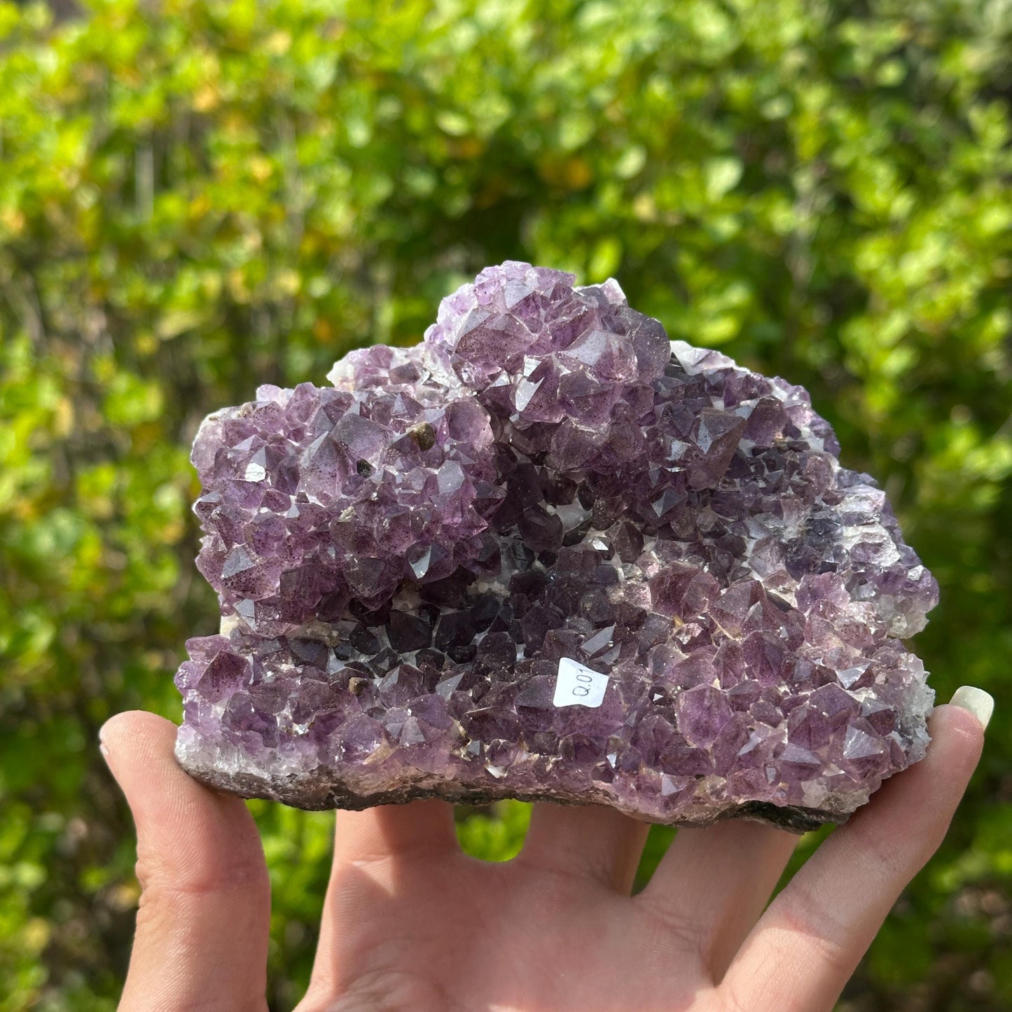 Rare Brazilian Amethyst Cluster with Stand, Unique Double Flower Formation Rosette Specimen, Raw Crystal Altar Decor, One of a Kind 1.43lb