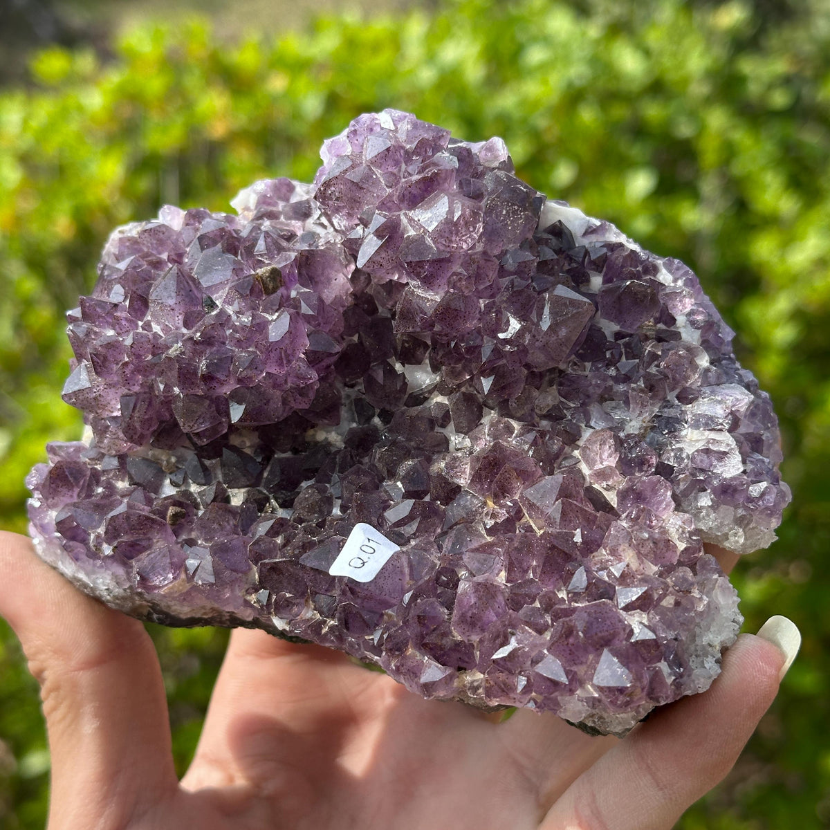 Rare Brazilian Amethyst Cluster with Stand, Unique Double Flower Formation Rosette Specimen, Raw Crystal Altar Decor, One of a Kind 1.43lb - view 9