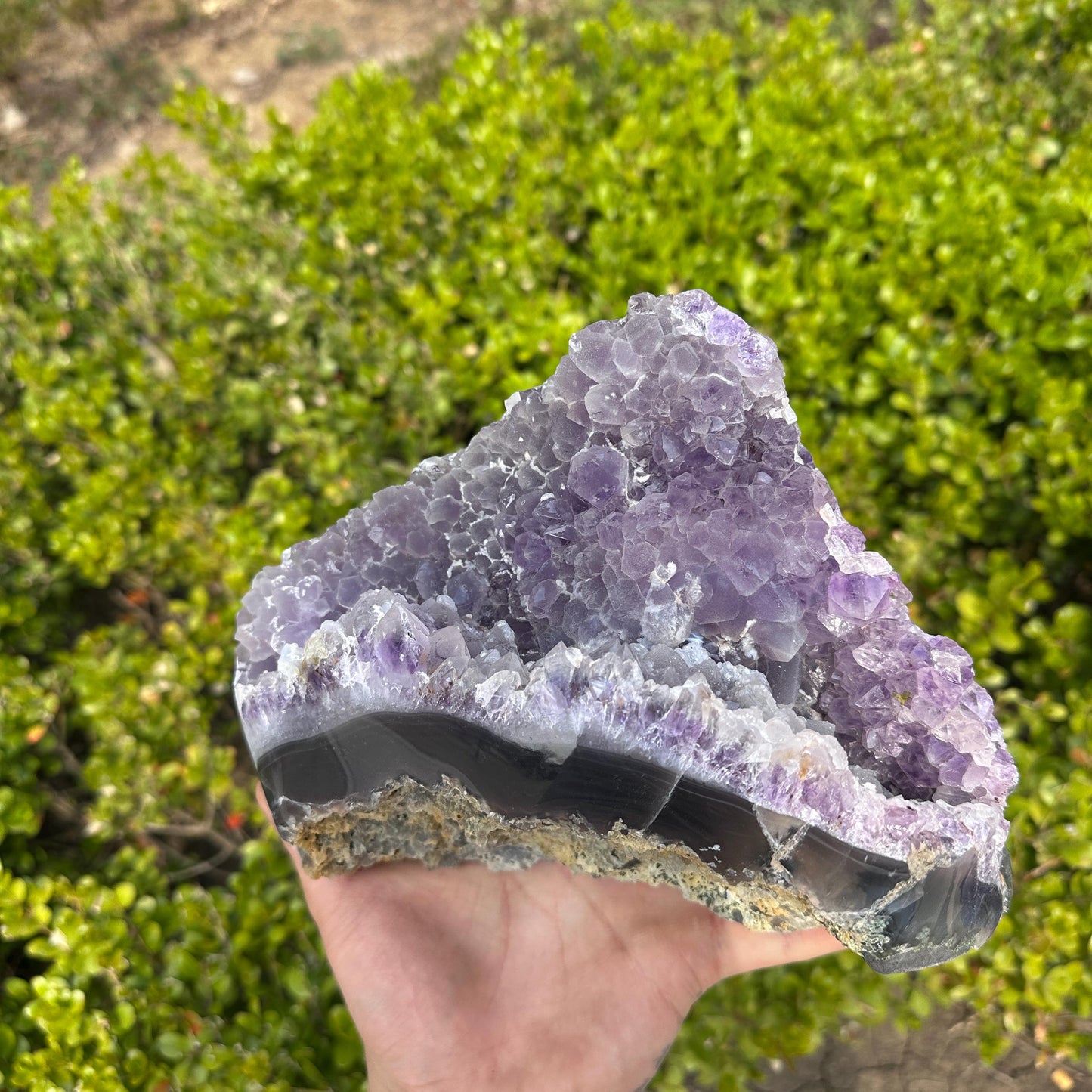 Massive Brazilian Sugar Druzy Amethyst Cluster, Polished Banded Agate Crystal Geode Freeform, Healing Altar Decor Exact 6.17lb