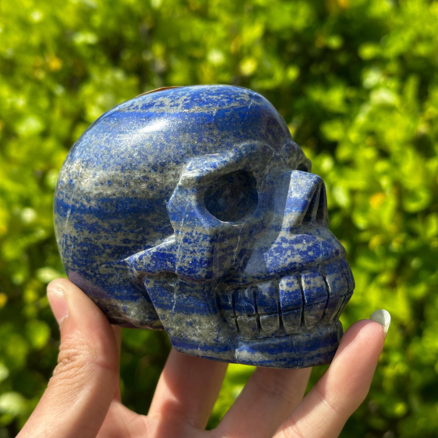 Realistic Lapis Lazuli Skull Carving, Natural Blue Crystal Skull with Pyrite, Gothic Decor Witchy Altar Exact Specimen 2.15lb
