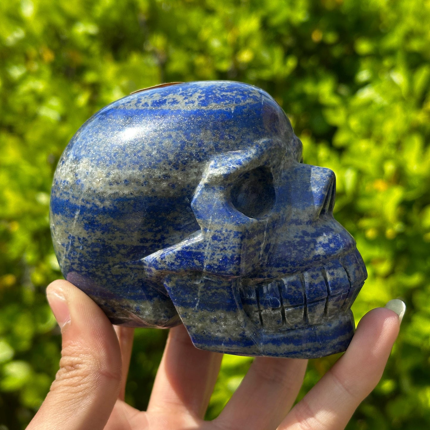 Realistic Lapis Lazuli Skull Carving, Natural Blue Crystal Skull with Pyrite, Gothic Decor Witchy Altar Exact Specimen 2.15lb