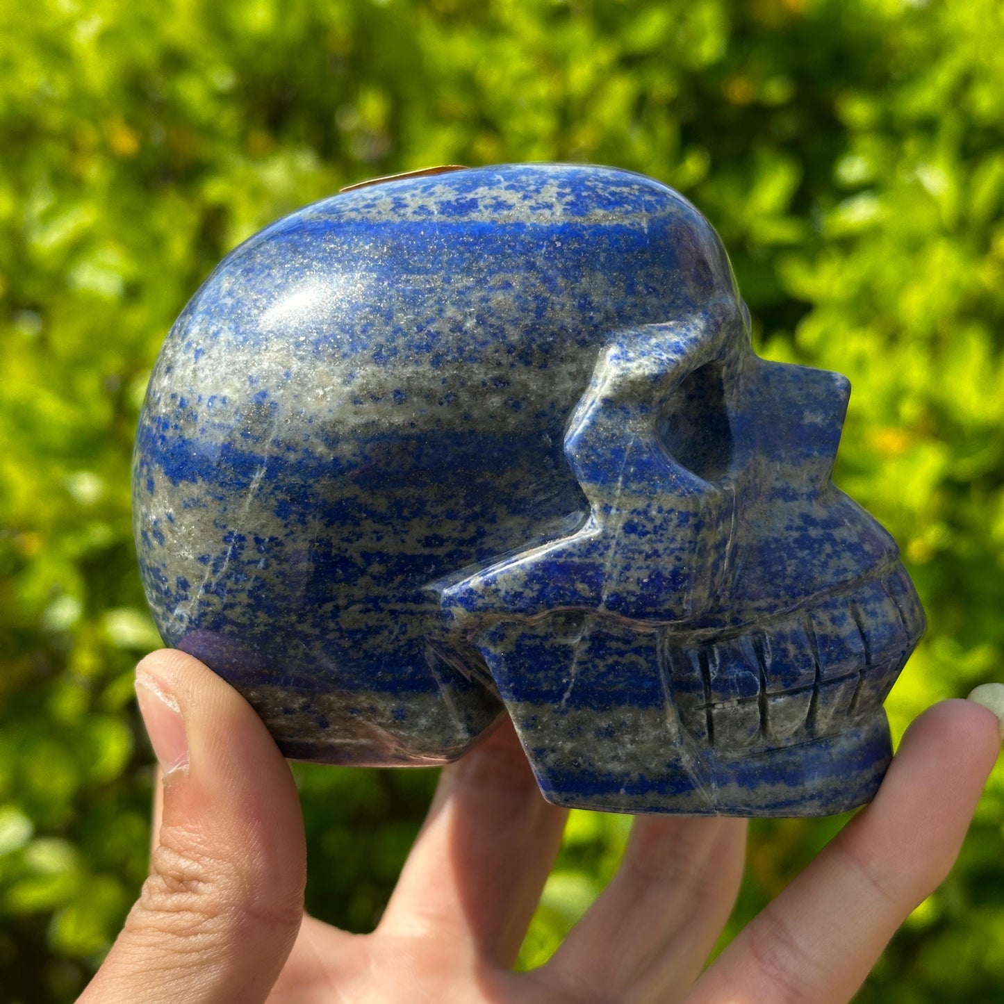 Realistic Lapis Lazuli Skull Carving, Natural Blue Crystal Skull with Pyrite, Gothic Decor Witchy Altar Exact Specimen 2.15lb