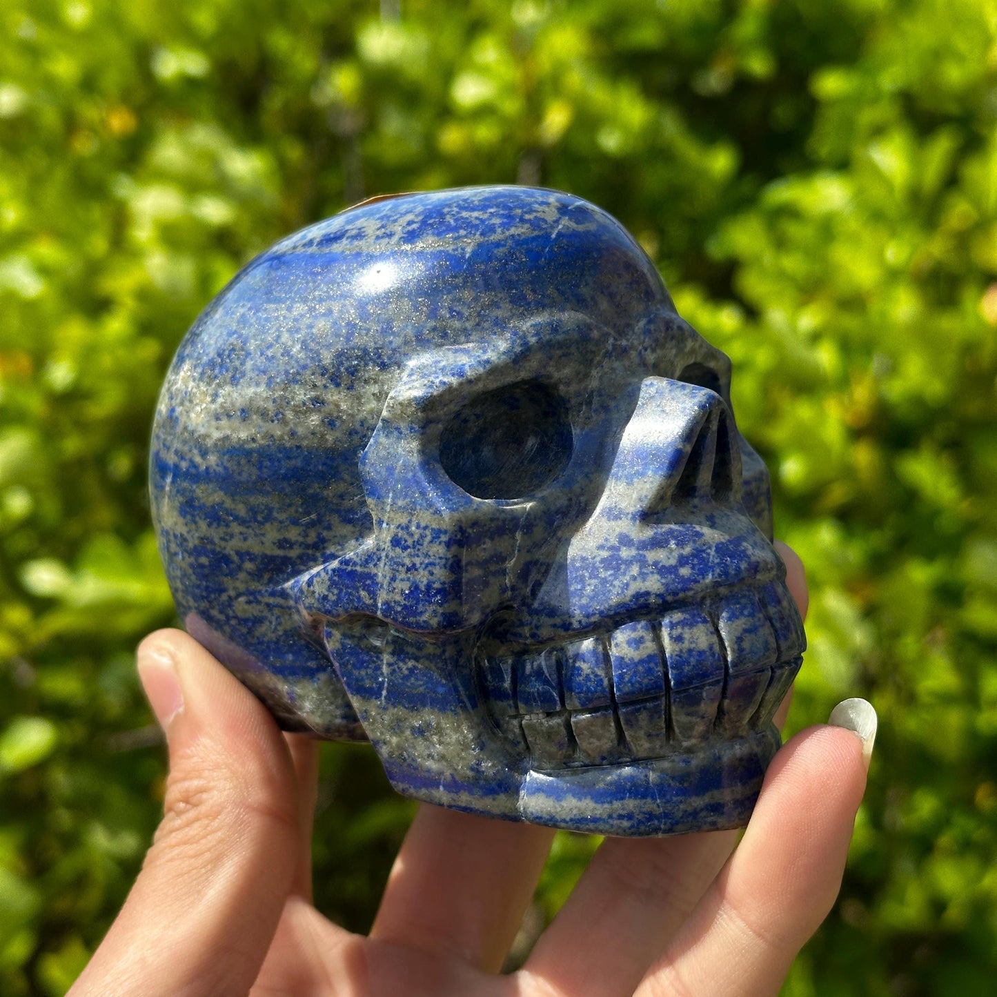 Realistic Lapis Lazuli Skull Carving, Natural Blue Crystal Skull with Pyrite, Gothic Decor Witchy Altar Exact Specimen 2.15lb
