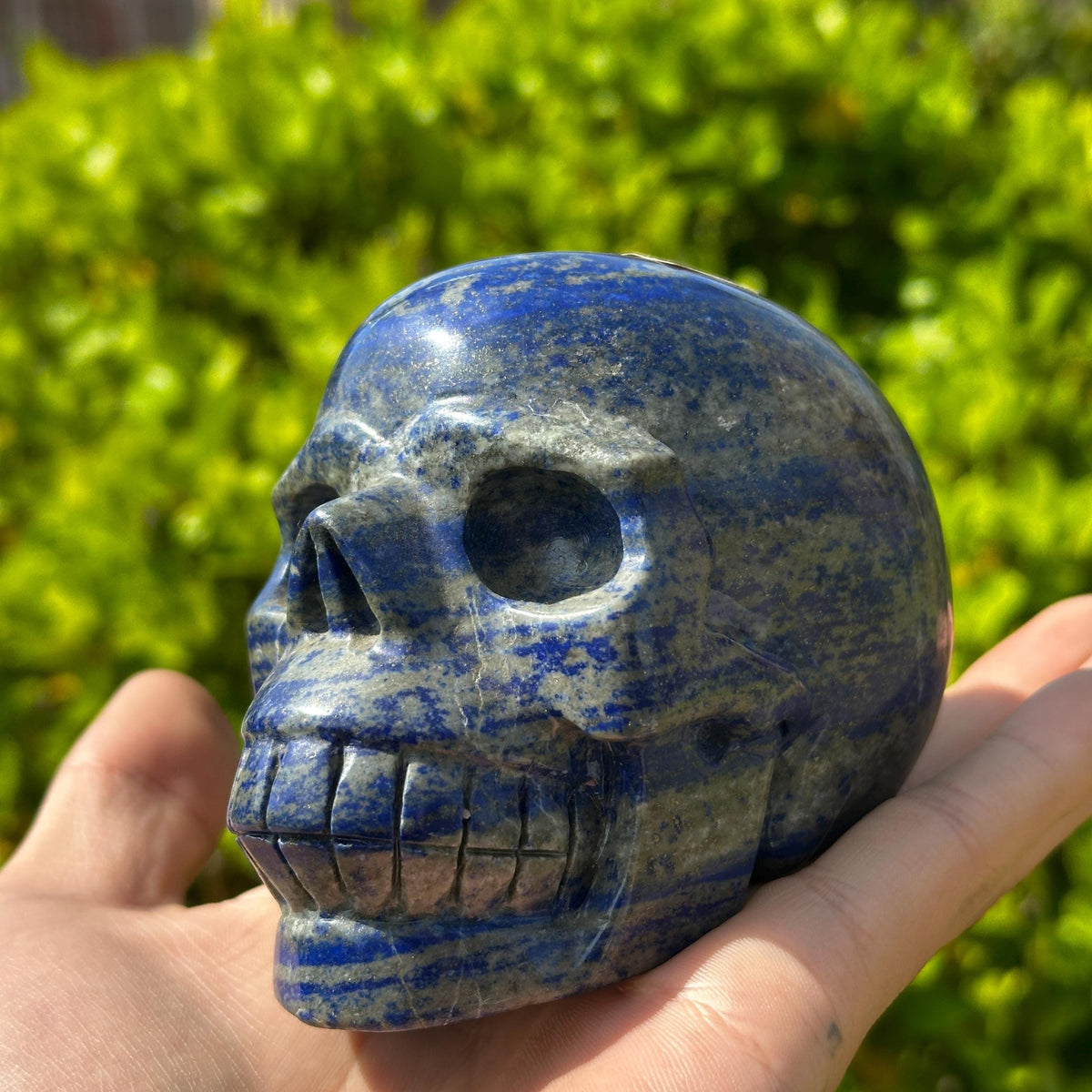 Realistic Lapis Lazuli Skull Carving, Natural Blue Crystal Skull with Pyrite, Gothic Decor Witchy Altar Exact Specimen 2.15lb - view 9