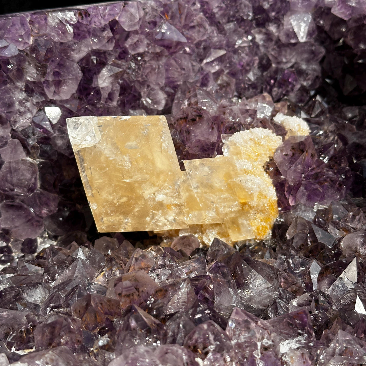 Massive 41.6lb Brazilian Amethyst Geode Basin, Rare Golden Calcite Symbiosis, Polished Crystal Cave Wealth Bowl Exact Specimen - view 9