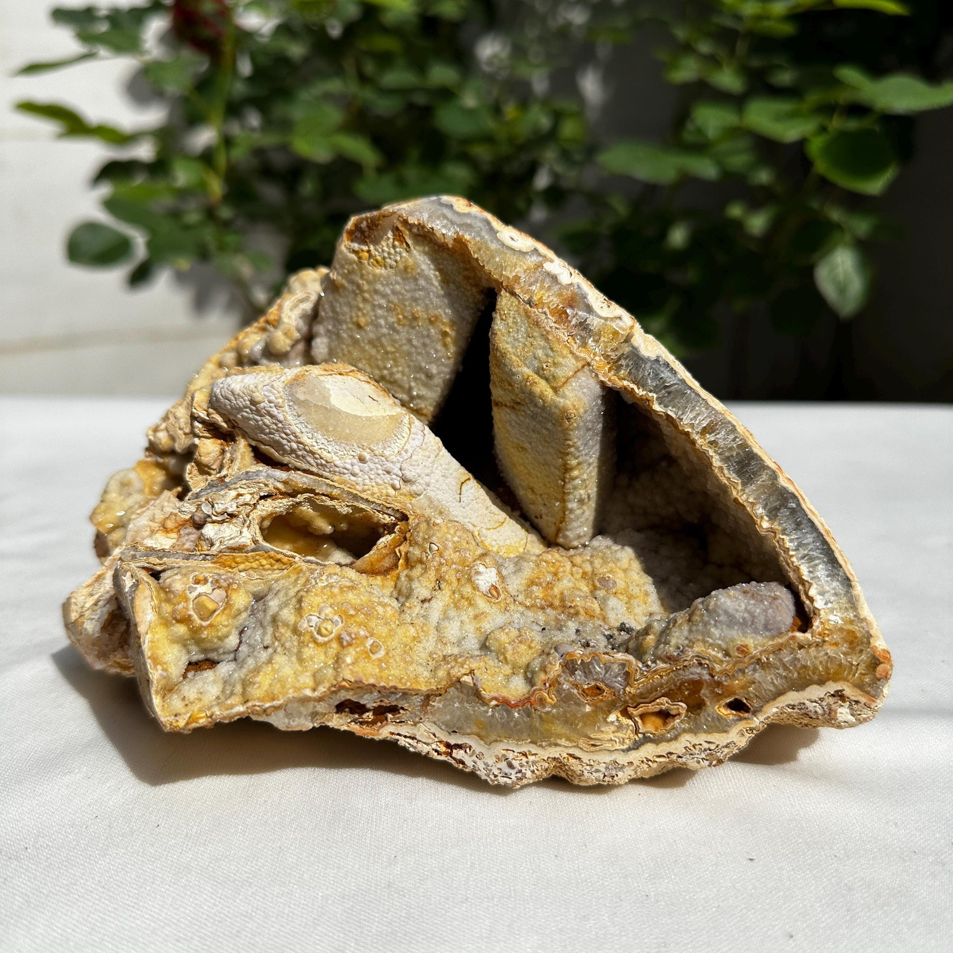 Highly Rare Brazilian Sugar Druzy Agate Mineral Specimen, Unique Triple Cavity Raw Crystal Geode, Collector Item, Alien Landscape 162g - view 9
