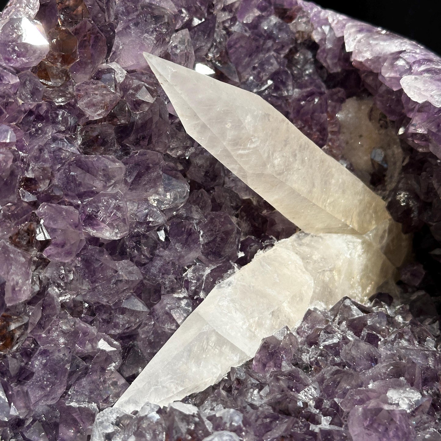 Massive 24lb Brazilian Amethyst Geode Basin, Rare Calcite & Rutile Symbiosis, Polished Green Matrix Crystal Cave Exact Specimen