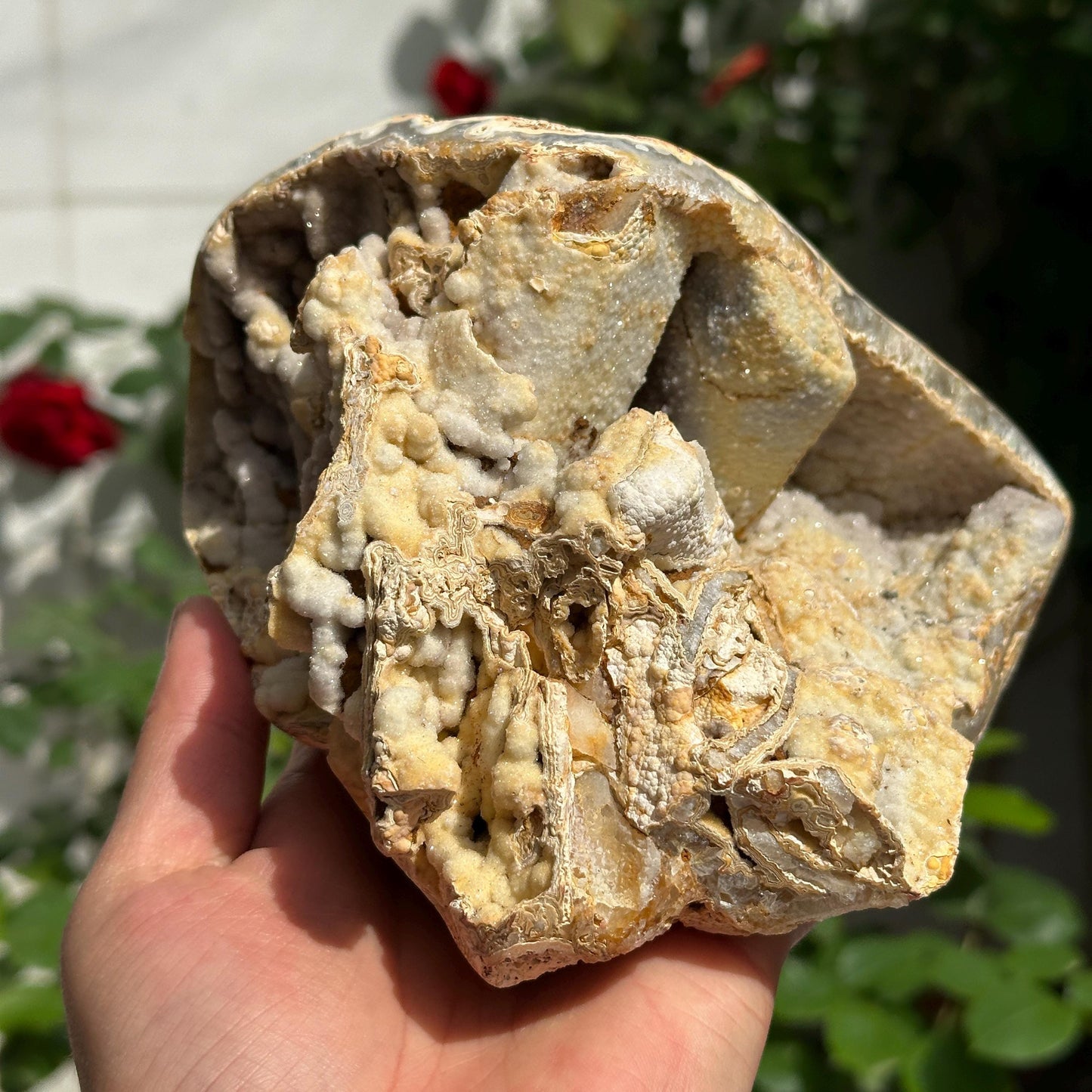 Highly Rare Brazilian Sugar Druzy Agate Mineral Specimen, Unique Triple Cavity Raw Crystal Geode, Collector Item, Alien Landscape 162g