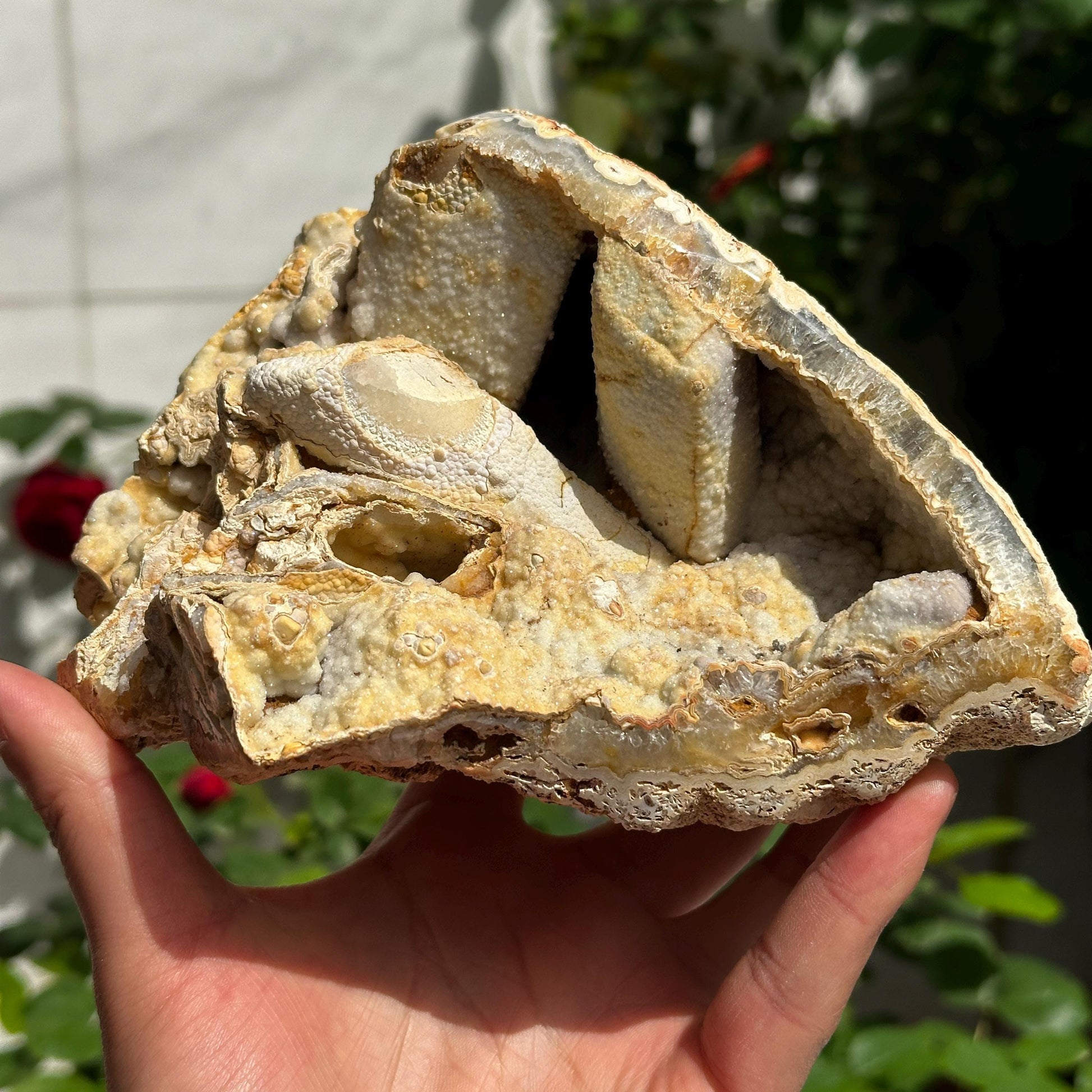 Highly Rare Brazilian Sugar Druzy Agate Mineral Specimen, Unique Triple Cavity Raw Crystal Geode, Collector Item, Alien Landscape 162g - view 1