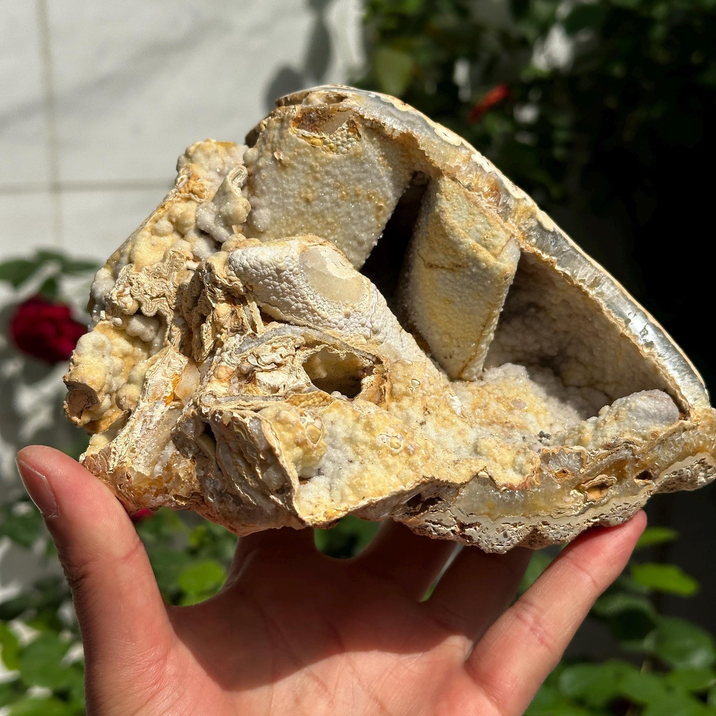 Highly Rare Brazilian Sugar Druzy Agate Mineral Specimen, Unique Triple Cavity Raw Crystal Geode, Collector Item, Alien Landscape 162g
