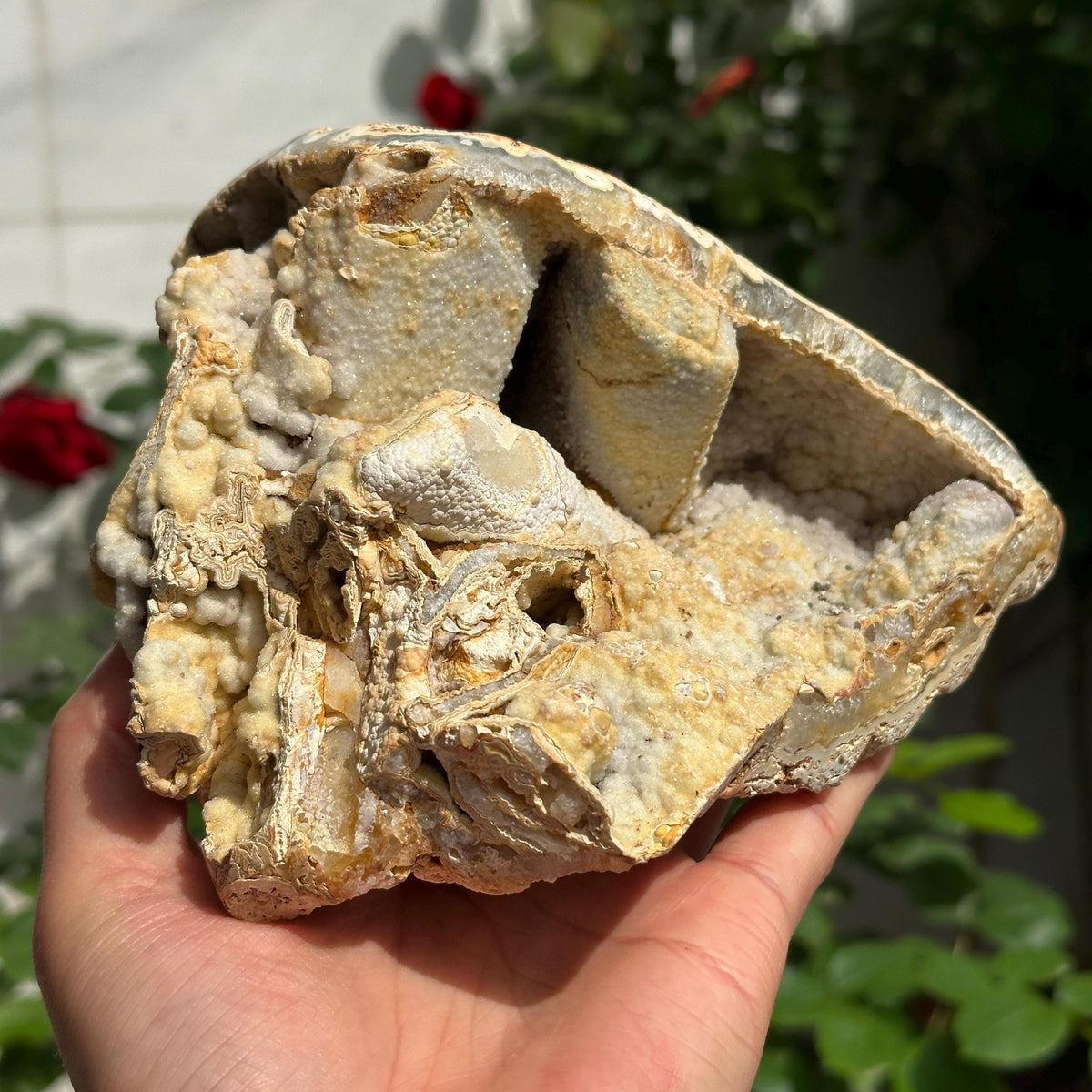 Highly Rare Brazilian Sugar Druzy Agate Mineral Specimen, Unique Triple Cavity Raw Crystal Geode, Collector Item, Alien Landscape 162g - view 3
