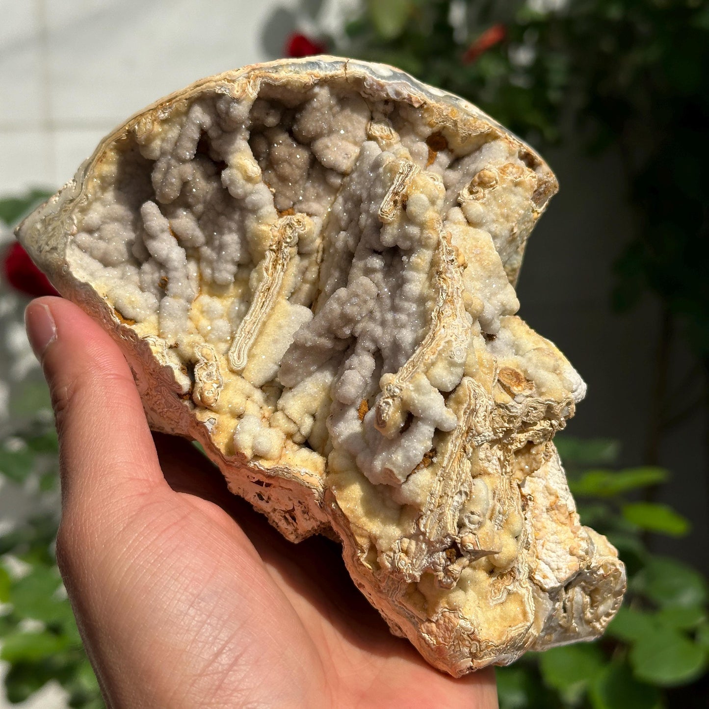 Highly Rare Brazilian Sugar Druzy Agate Mineral Specimen, Unique Triple Cavity Raw Crystal Geode, Collector Item, Alien Landscape 162g - view 5