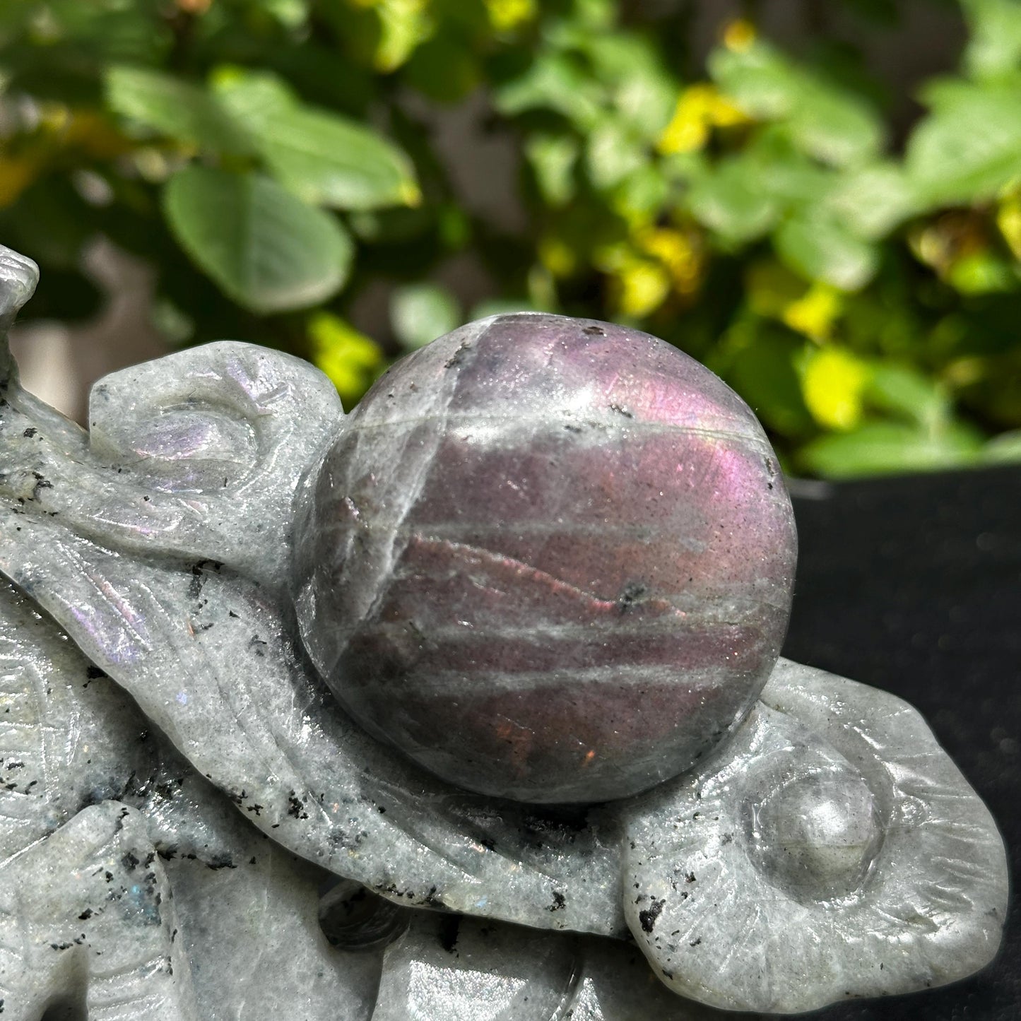 Hand Carved Labradorite Dragon, Purple Blue Flash Crystal Dragon Carving, Fantasy Stone Sculpture Pick Exact A-C