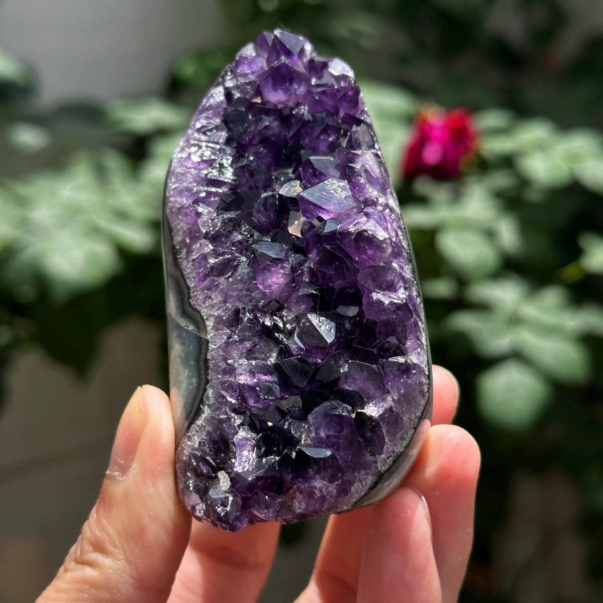 Uruguayan Amethyst Cluster with God Fingerprint Growth Marks, Deep Purple Druzy Crystal Specimen, One of a Kind - view 1