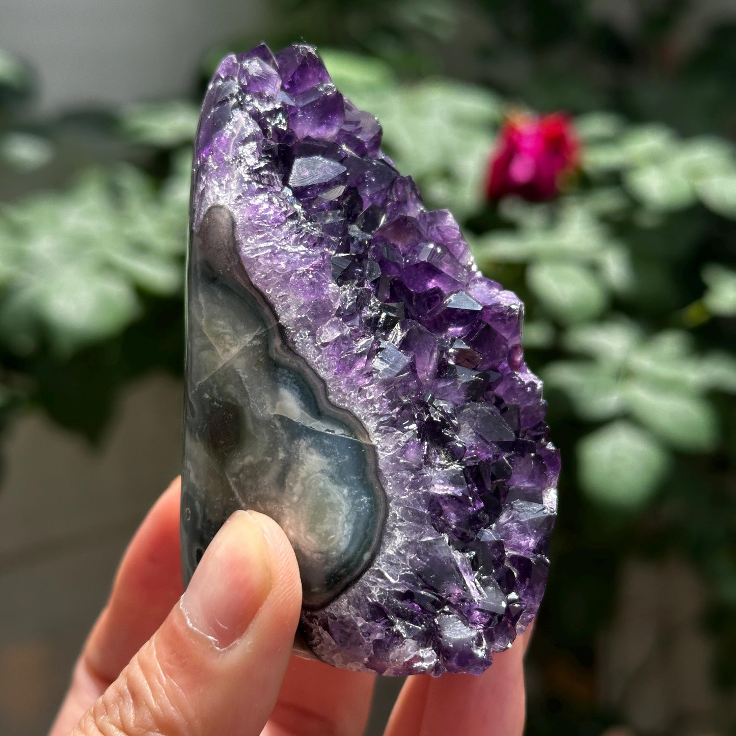 Uruguayan Amethyst Cluster with God Fingerprint Growth Marks, Deep Purple Druzy Crystal Specimen, One of a Kind