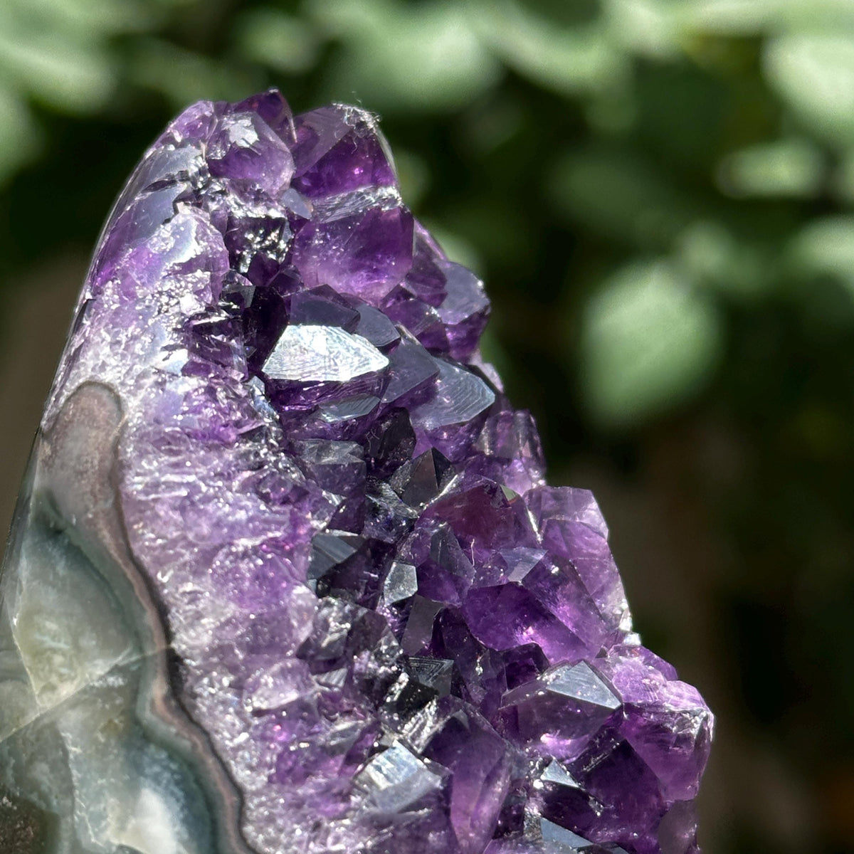 Uruguayan Amethyst Cluster with God Fingerprint Growth Marks, Deep Purple Druzy Crystal Specimen, One of a Kind - view 6