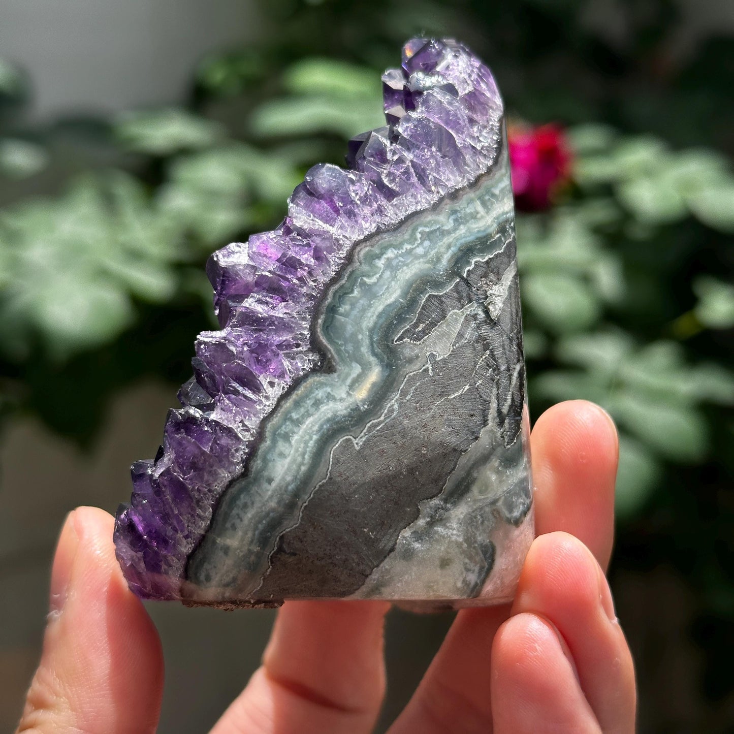 Uruguayan Amethyst Cluster with God Fingerprint Growth Marks, Deep Purple Druzy Crystal Specimen, One of a Kind - view 4
